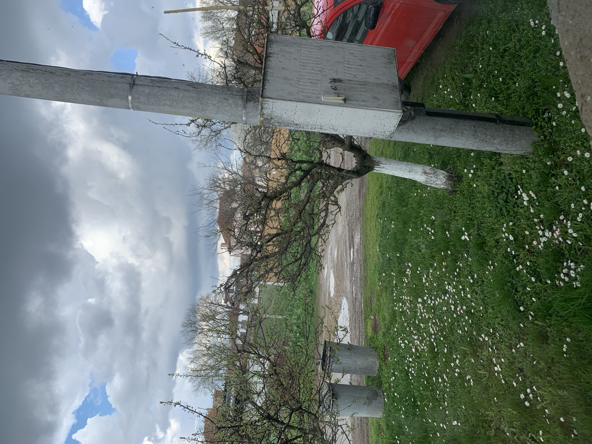 The image depicts a rural scene in Lehchevo, Bulgaria, showcasing a muddy, unpaved road flanked by grassy areas dotted with small white flowers. A utility pole runs vertically through the left side of the frame, supporting a gray utility box with some writing on it and visible hardware. A red car is partially visible behind the utility box. A bare tree with some painted white on the lower trunk is growing near the utility pole. Several other bare trees and buildings are visible in the background. The sky is overcast with a mix of gray and white clouds. Two metallic containers stand near the road, and the general setting suggests a village or countryside location.