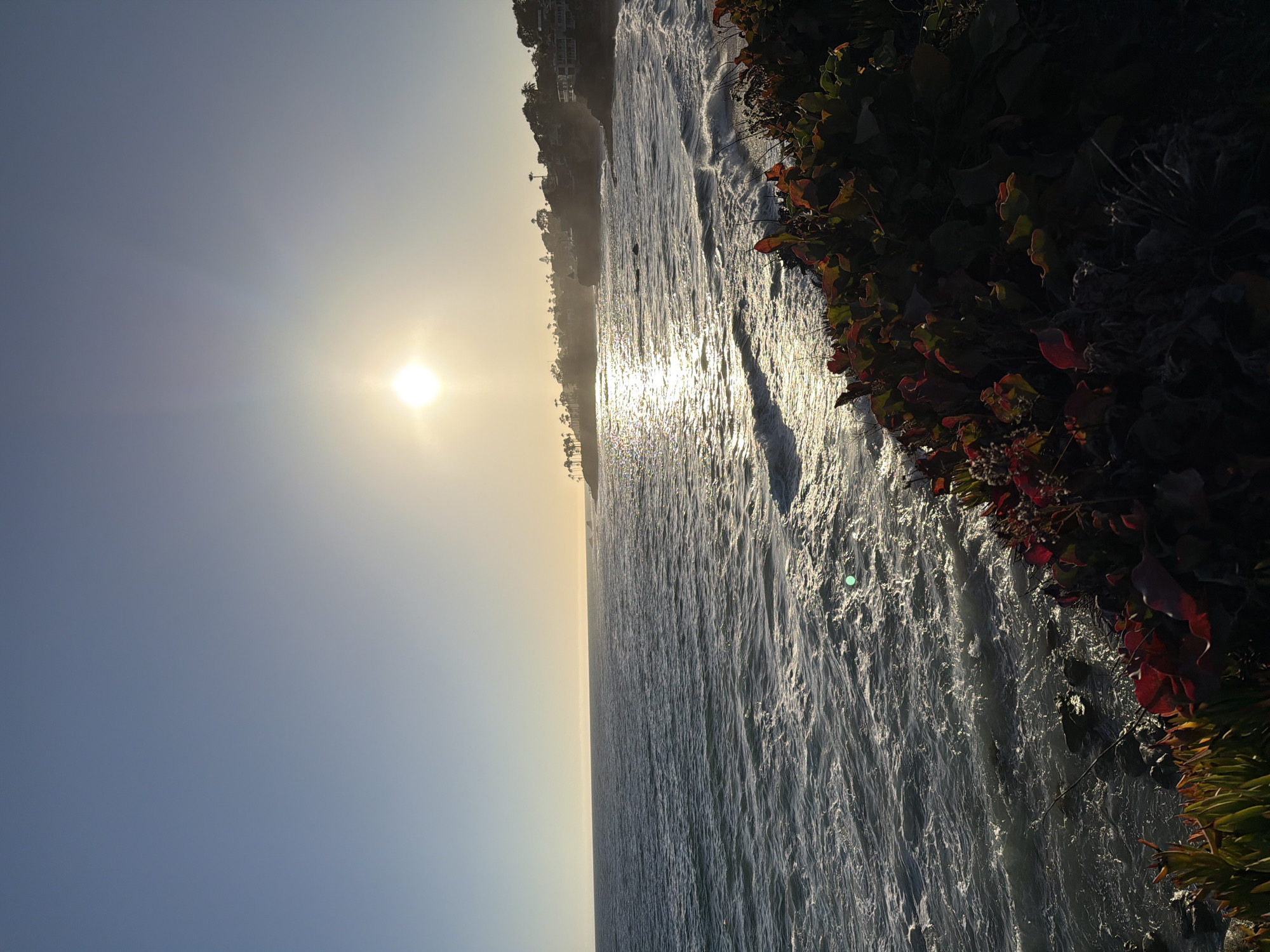 This image captures a sunset over the Pacific Ocean in Laguna Beach, California. The sun is low in the sky, casting a bright glow and reflecting off the water. Waves are crashing against the shore, and a rocky coastline is visible in the distance, lined with trees and houses. In the foreground, lush green and red foliage grows along the cliff edge. The sky is clear and blue, with a slight haze near the horizon. The overall scene is one of natural beauty and tranquility.