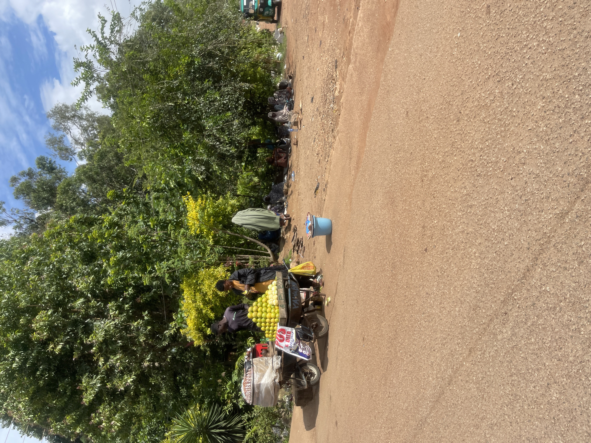 In Barakin Lerawi, Nigeria, a street scene unfolds under a bright, cloudy sky. The foreground features a dusty, reddish-brown road. On the left, a cart laden with goods, including what appears to be fish and a stack of fruits, is parked near a lush green environment. Two individuals stand by the cart, one possibly attending to the merchandise.
Further back, a cluster of people are gathered in the shade of a large tree, many of them seated. Their attire suggests a casual gathering. The environment is rich with vegetation, with dense green trees and some yellow flowering bushes providing a natural backdrop. A small, green tuk-tuk is visible on the right side of the frame, suggesting a mode of transport common in the area. Scattered on the ground are various items, including plastic bottles and bags. The overall impression is one of a typical roadside market or gathering point.