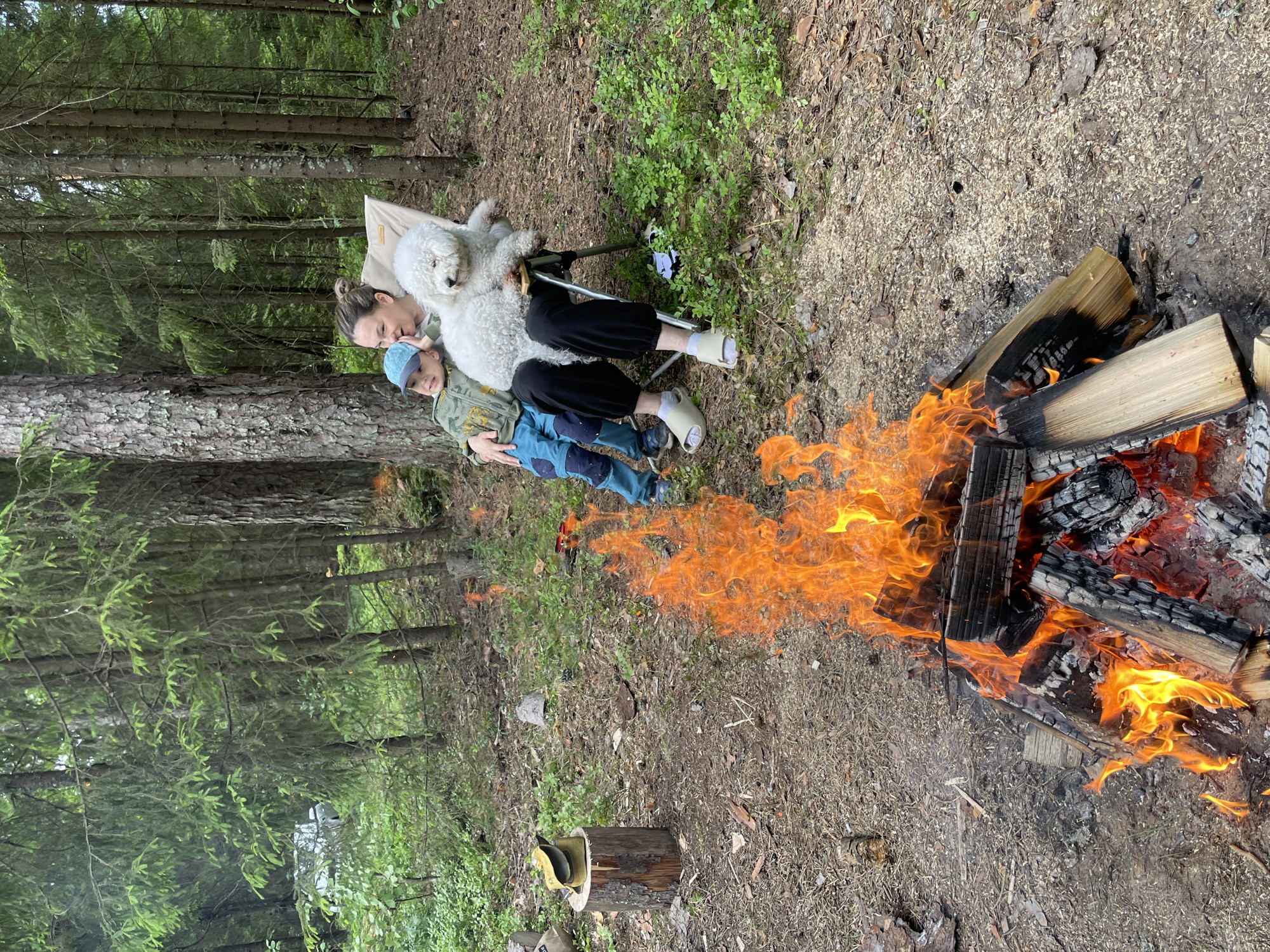 In a forest setting consistent with the outskirts of Roshchino, Russia, a woman and a young boy sit in a portable camping chair near a crackling campfire. The woman, with her hair in a bun, wears black pants and light-colored slip-on shoes. She is holding a fluffy white dog, possibly a Bichon Frise, on her lap. The boy, wearing a green jacket and blue pants, with a blue baseball cap, leans against the woman and appears to be whispering in her ear. The campfire, made of stacked logs, burns brightly in the foreground, with orange and yellow flames consuming the wood. The ground around the campfire is covered in dirt, pine needles, and scattered leaves. Behind them, tall pine trees and green foliage form a dense forest backdrop. A small log with a yellow object on top is visible to the left of the frame. In the distance, a white vehicle can be seen through the trees, suggesting a nearby road or parking area. The scene depicts a moment of outdoor leisure, likely a family outing or camping trip.