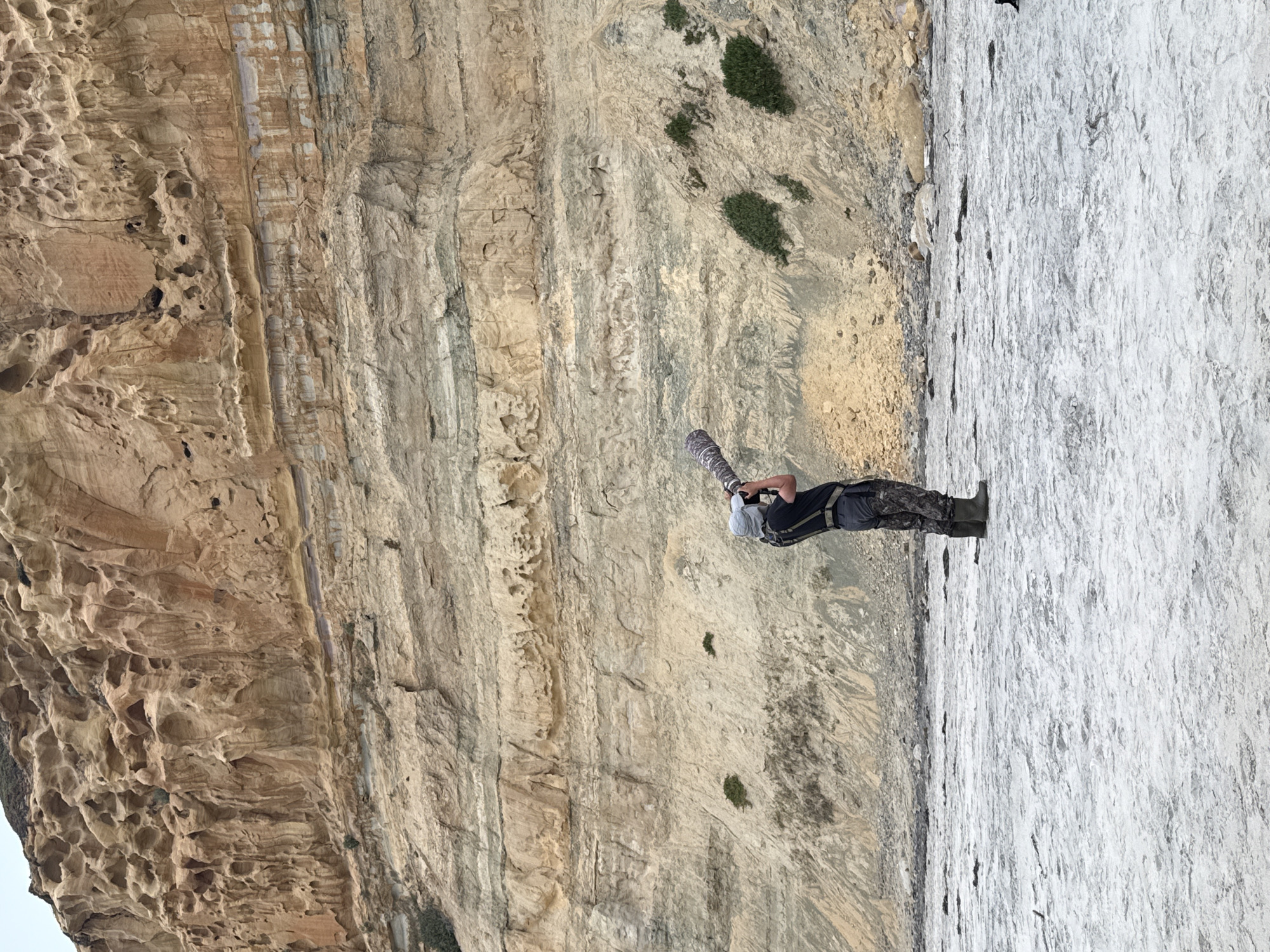The image shows a person rappelling down a cliff face. The person is wearing a helmet, dark clothing, and boots. They are secured to the cliff with ropes and rappelling equipment. The cliff face is a mix of light brown and gray rock. There are small patches of green vegetation on the cliff. The sky is not visible in the image. The location cannot be determined from the image.