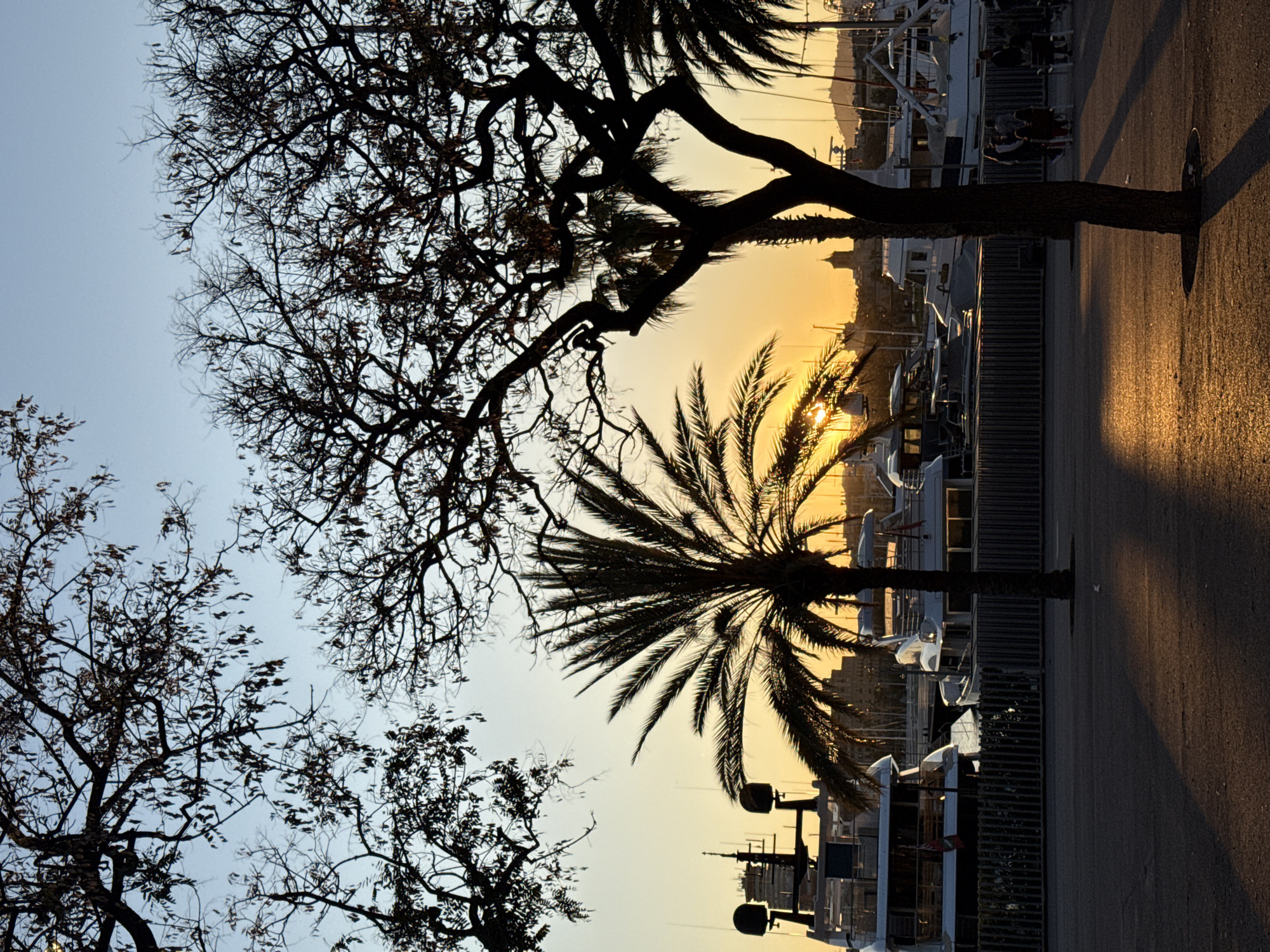 The image depicts a scene in Barcelona, Spain, likely near Port Vell, evidenced by the yachts in the background. The scene is taken during sunrise or sunset, casting a golden light.
The image is framed with the silhouettes of trees, including a palm tree, in the foreground. The ground is a paved surface, part of a walkway. In the background, there are boats docked at the marina. People are standing on the walkway near the boats. A building or hill is faintly visible in the distance.