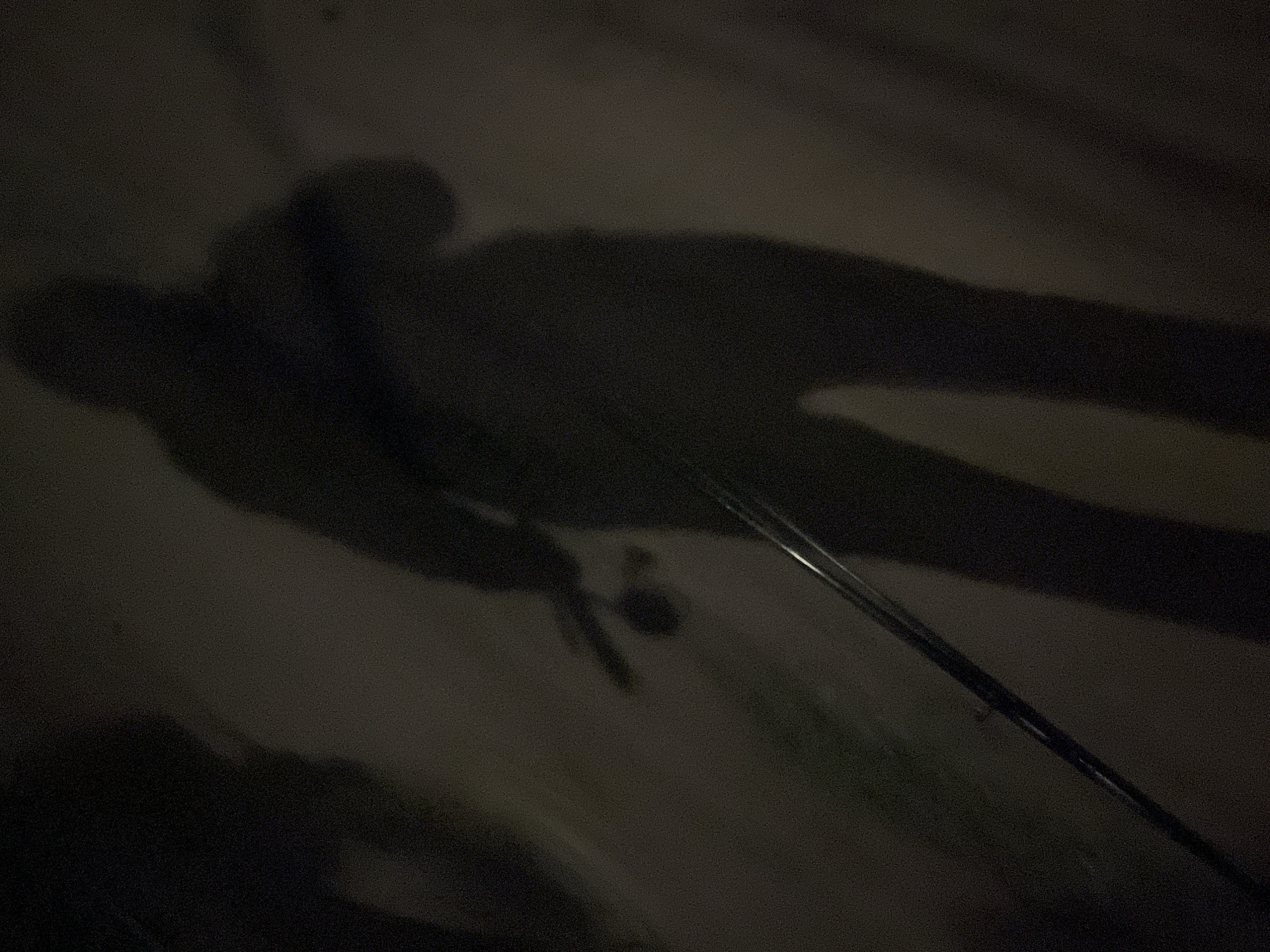 A shadowy figure, possibly a person, is silhouetted against a dimly lit, textured surface. The figure appears to be holding a long, thin object that extends downwards diagonally across the frame. The object has a reflective quality, suggesting it could be metallic. The background is dark and indistinct, with some lighter areas suggesting a textured surface or uneven lighting. The overall impression is one of movement or a posed stance in a low-light environment. The image does not contain enough visual information to determine a specific location in Chaikovsky, Russia, or to identify any specific objects beyond the shadow and the held item.