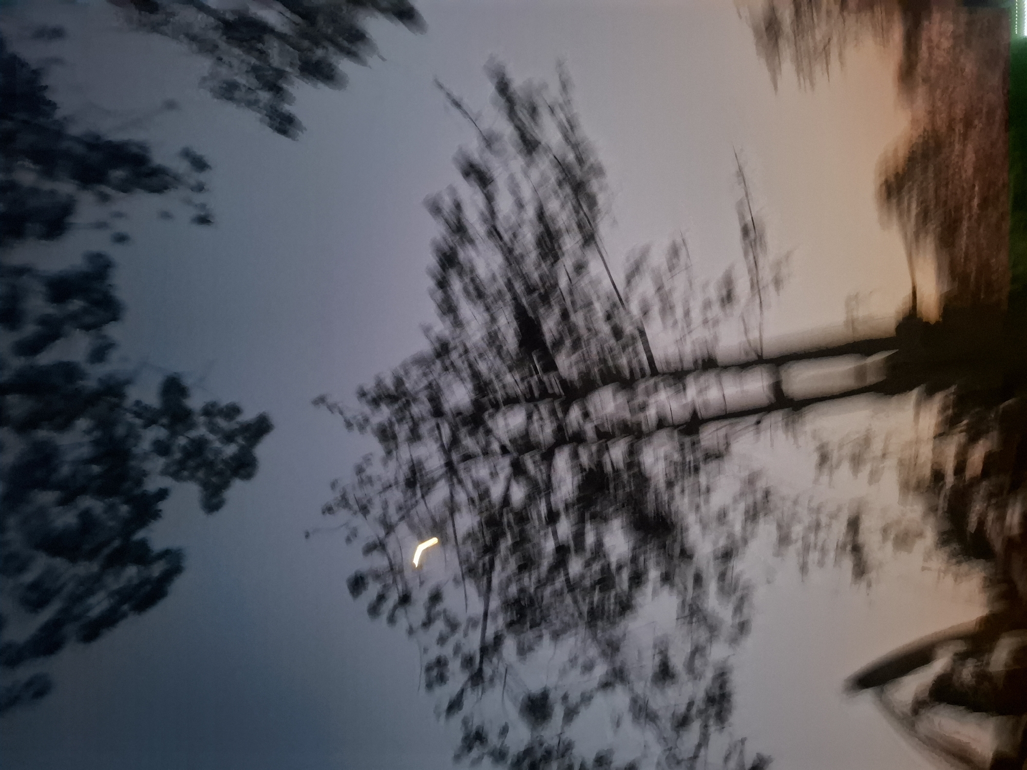 The image captures a blurry, atmospheric view of trees against a gradient sky at dusk. The sky transitions from a deep blue at the top to a lighter, warmer hue near the horizon. A thin, crescent-shaped light, possibly the moon or a distant light source, is visible among the branches of a tree in the upper left quadrant. The trees themselves are rendered as dark, indistinct masses due to motion blur. In the lower portion of the image, silhouettes of more vegetation and possibly some man-made structures are visible, also heavily blurred. The overall impression is one of movement and a soft, diffused light. The location is identified as Brangsi, Indonesia.