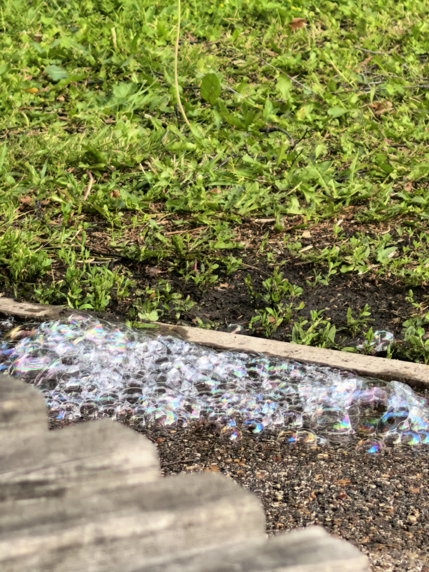 The image depicts a close-up, outdoor scene focusing on a line of iridescent soap bubbles resting on dark, pebbly ground. The bubbles exhibit a spectrum of rainbow colors due to light refraction. Behind the bubbles, a strip of dry, dark soil is visible, with small green sprouts emerging from it. Further back, a dense area of green grass occupies the upper portion of the frame, with scattered dried leaves and thin twigs on the ground. The foreground is partially obscured by a blurred, textured surface, appearing to be made of weathered wood or stone. The overall impression is one of a natural, perhaps slightly unkempt, outdoor environment. The location in Sterlitamak, Russia, is not visually discernible from the image itself.