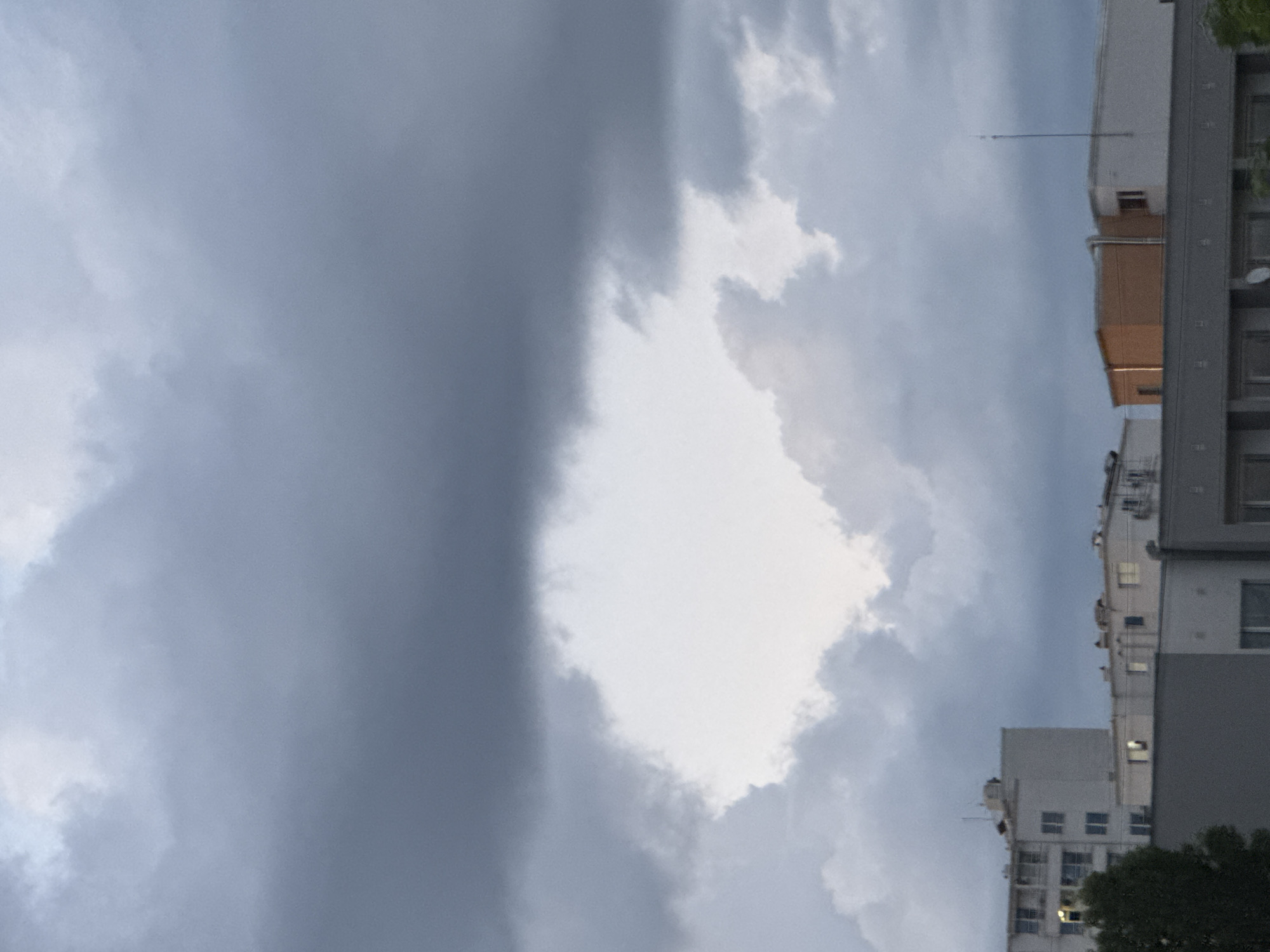The image captures an urban sky scene over Sofia, Bulgaria, dominated by heavy, dark grey altostratus-like clouds covering the upper two-thirds of the frame. Centrally, an irregularly shaped, bright aperture in the cloud cover reveals a patch of lighter, thinner cloud or clear sky, creating a stark contrast. Below this primary cloud layer, a range of cumulus-like clouds with varied textures and shades of grey are visible, particularly around the edges of the bright opening.
The lower third of the image depicts the rooftops and upper stories of various buildings under diffused, overcast lighting. On the left, a multi-story white apartment building with numerous rectangular windows and balconies is partially obscured by the dark green foliage of a tree in the bottom-left foreground. Further to the right and slightly recessed are several other light-colored buildings with flat roofs, some displaying faintly illuminated windows. In the mid-right, a distinct two-story section of a building features a reddish-brown/orange facade, connected to a white structure topped with a tall, slender antenna or lightning rod. The very bottom edge of the frame shows the flat roofline or upper facade of a dark grey building in the immediate foreground, with subtle horizontal lines. No people or active interactions are visible in the scene.