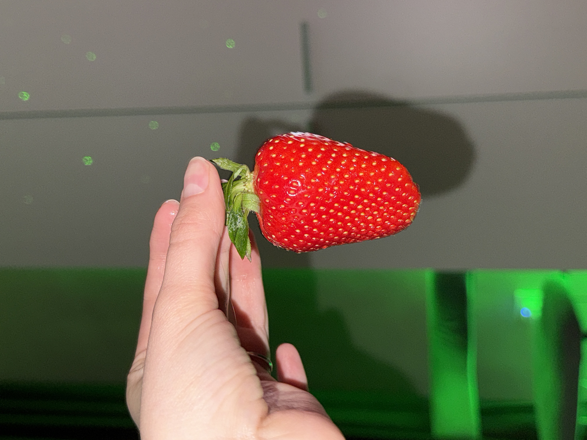 A hand is holding a strawberry against a gray wall with some green lighting, possibly from a digital screen or decorative lights. The strawberry is red and has green leaves on top. The location of the image is unknown.