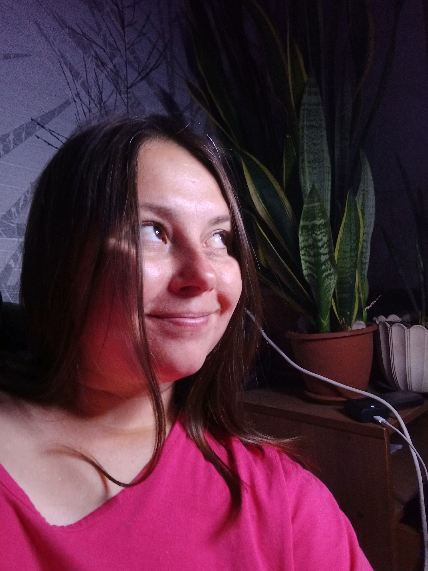 A medium shot shows a young woman from the chest up, looking to her right and smiling faintly. Her dark brown hair frames her face, and she is wearing a bright pink V-neck shirt. She has fair skin with a light smattering of freckles across her nose and cheeks. Behind her, a large snake plant is visible in a terracotta pot, along with another potted plant to its right. The background consists of a textured wall with a pattern of thin, dark, branch-like lines and a dark, out-of-focus area. A dark wooden shelf is visible beneath the plants, with a small black electronic device connected to white cables resting on it. The lighting is dim, with a strong light source illuminating the woman's face from the left. The image appears to be taken indoors, likely in a residential setting. No specific location in Novosibirsk, Russia is discernible from the visual information provided.