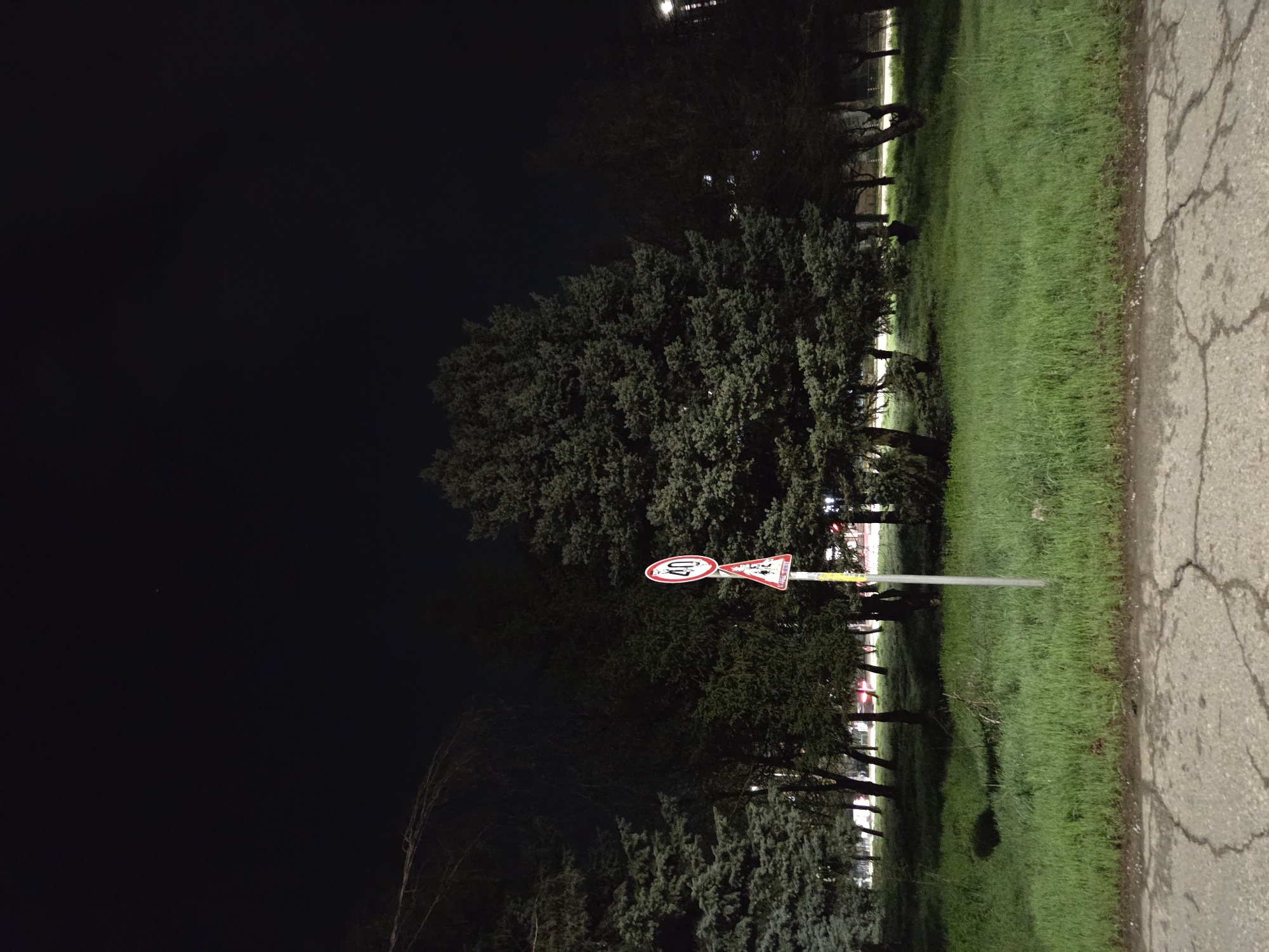 The image depicts a nighttime scene alongside a street in Pleven, Bulgaria. A road runs along the right edge of the frame. A strip of grass is adjacent to the road, bordering a line of trees. Further into the frame's left side, the trees are denser, and the sky is dark. A traffic sign showing a speed limit of 40 kilometers per hour and a pedestrian crossing sign is visible between the trees.