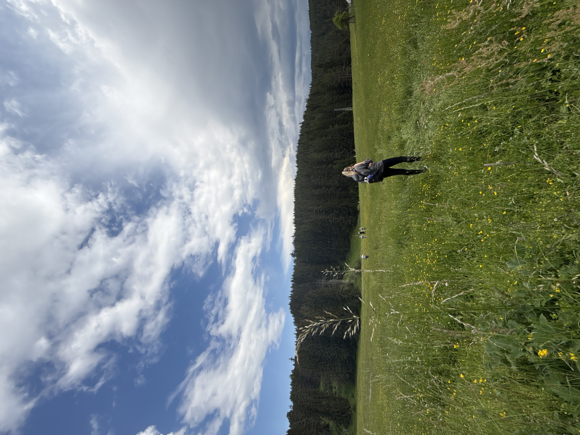 In Yundola, Bulgaria, a person stands in a grassy field dotted with small yellow flowers. They are facing away from the camera, wearing dark leggings and a grey hooded jacket with a backpack. In the distance, a line of dark green coniferous trees forms the background, extending across the horizon under a sky with scattered white clouds and darker patches. Several other indistinct figures are walking in the field further away from the main subject, towards the treeline. The foreground is dominated by tall green grass and wildflowers.