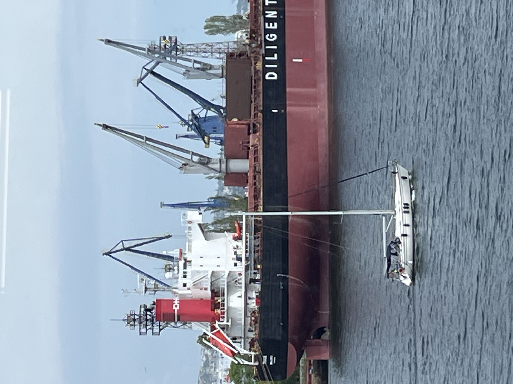 The image shows a large cargo ship, named "DILIGENT," docked in the port of Varna, Bulgaria. A small sailboat is positioned next to the cargo ship. The sailboat has people on board. Cranes are visible on the deck of the cargo ship. The sky is overcast. The water appears calm. The location is most likely Varna, Bulgaria based on the maritime activity and visual evidence.