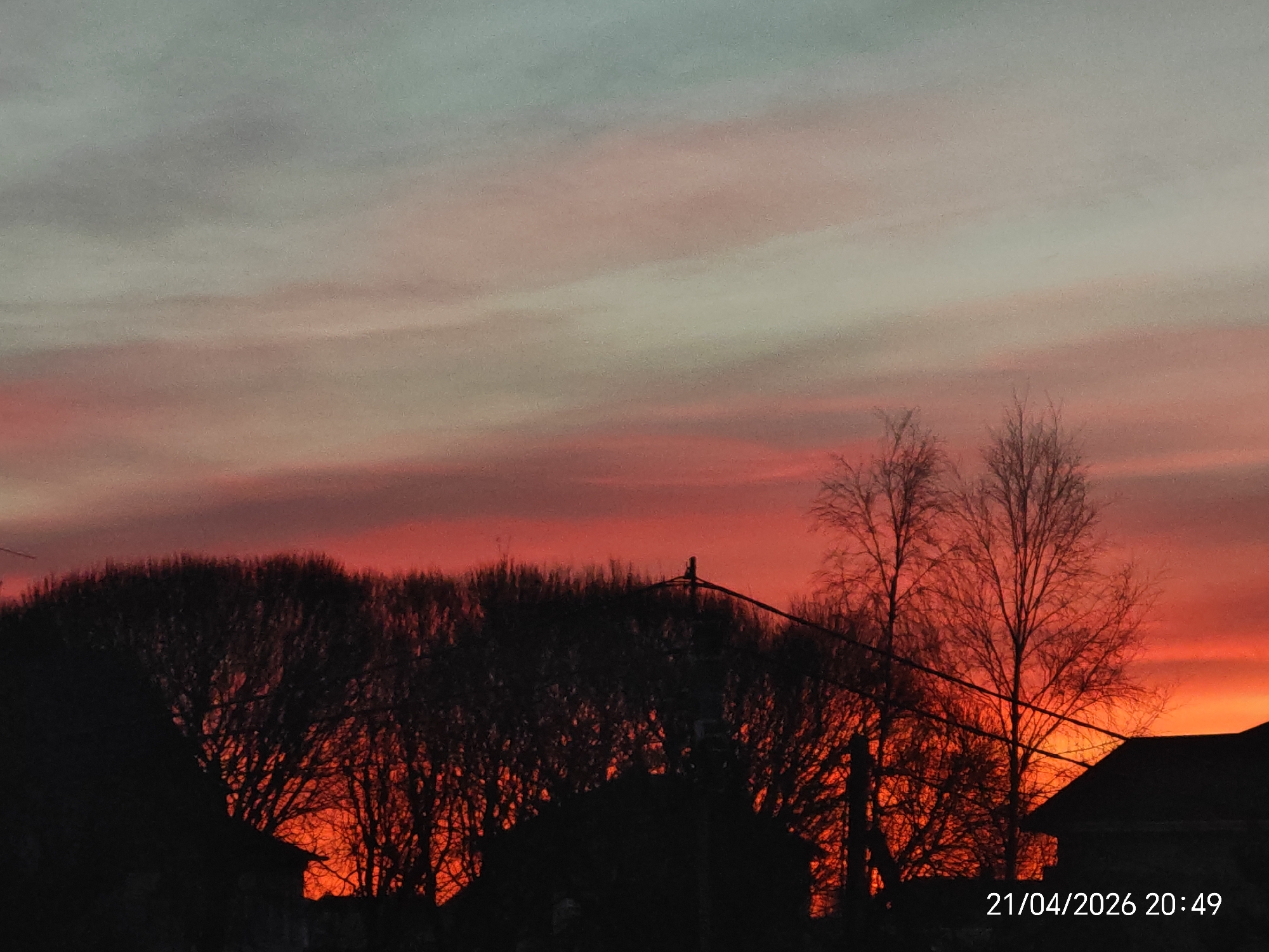 The image captures a vibrant sunset or possibly a sunrise, with the sky dominating the frame. The lower half of the sky is ablaze with intense fiery reds and oranges, gradually transitioning upwards into softer pinks and then a muted, hazy greyish-blue at the very top. Streaks of clouds are visible, illuminated by the low sun.
Silhouetted against this dramatic sky are the dark, bare branches of numerous trees, suggesting either late autumn, winter, or early spring. Their intricate network of branches is clearly defined against the bright background. In the foreground, the dark silhouettes of rooftops or buildings are visible on either side, indicating a residential or suburban setting. A utility pole with power lines is also silhouetted against the colorful sky, particularly on the right side of the image, running diagonally across the frame.
There is no discernible human activity. The scene emphasizes the natural beauty of the sky. The notable details include the striking color palette of the sky, the stark contrast between the vibrant sky and the dark silhouettes, and the time of day, which is unmistakably either sunrise or sunset due to the vivid low-angle illumination.
In the bottom right corner of the image, white text is visible: "21/04/2026 20:49", indicating the date as April 21, 2026, and the time as 8:49 PM, confirming this is a sunset.