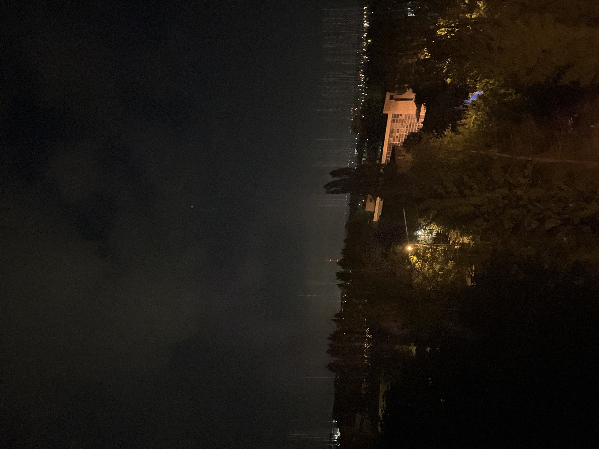 At night, a view of buildings on the water is seen between trees. The city lights reflect off the water, and a street light illuminates some trees in the foreground.