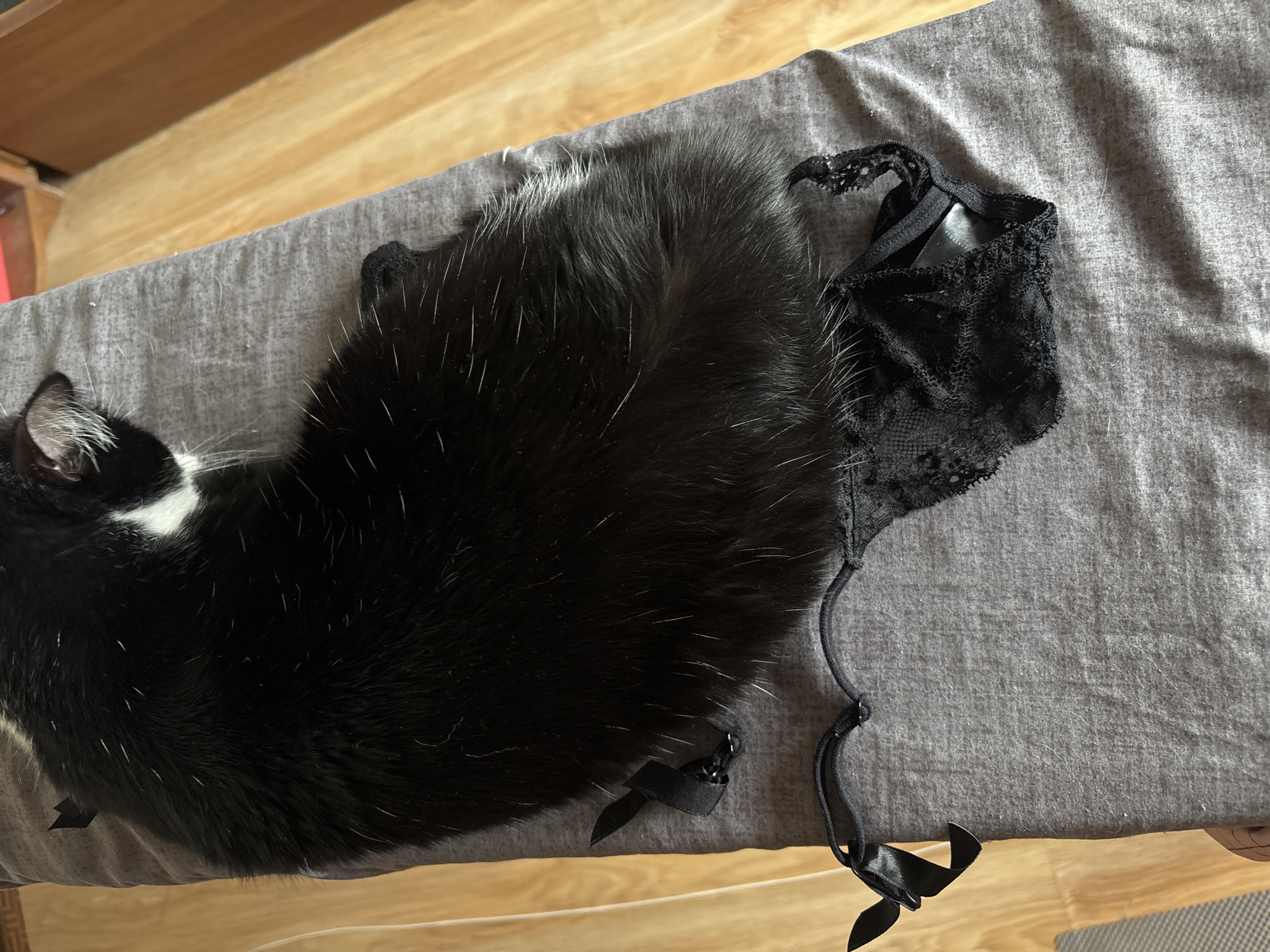 An overhead photograph captures a black and white domestic cat resting on a rumpled grey fabric surface. The cat's fur is predominantly black, with white markings visible on its right ear and scattered white guard hairs across its back and flanks. Beneath the cat's lower body, a black lace thong with a small black ribbon bow on its left strap is partially obscured. A separate small black ribbon lies on the grey fabric near the cat's upper left flank. The grey fabric exhibits lint and loose fur. A light-toned wooden plank floor is visible to the right and bottom of the fabric surface. In the upper right corner, a fragment of wooden furniture and a red object are discernible. No human subjects are present. The scene is set in an indoor residential environment in Kyiv, Ukraine.