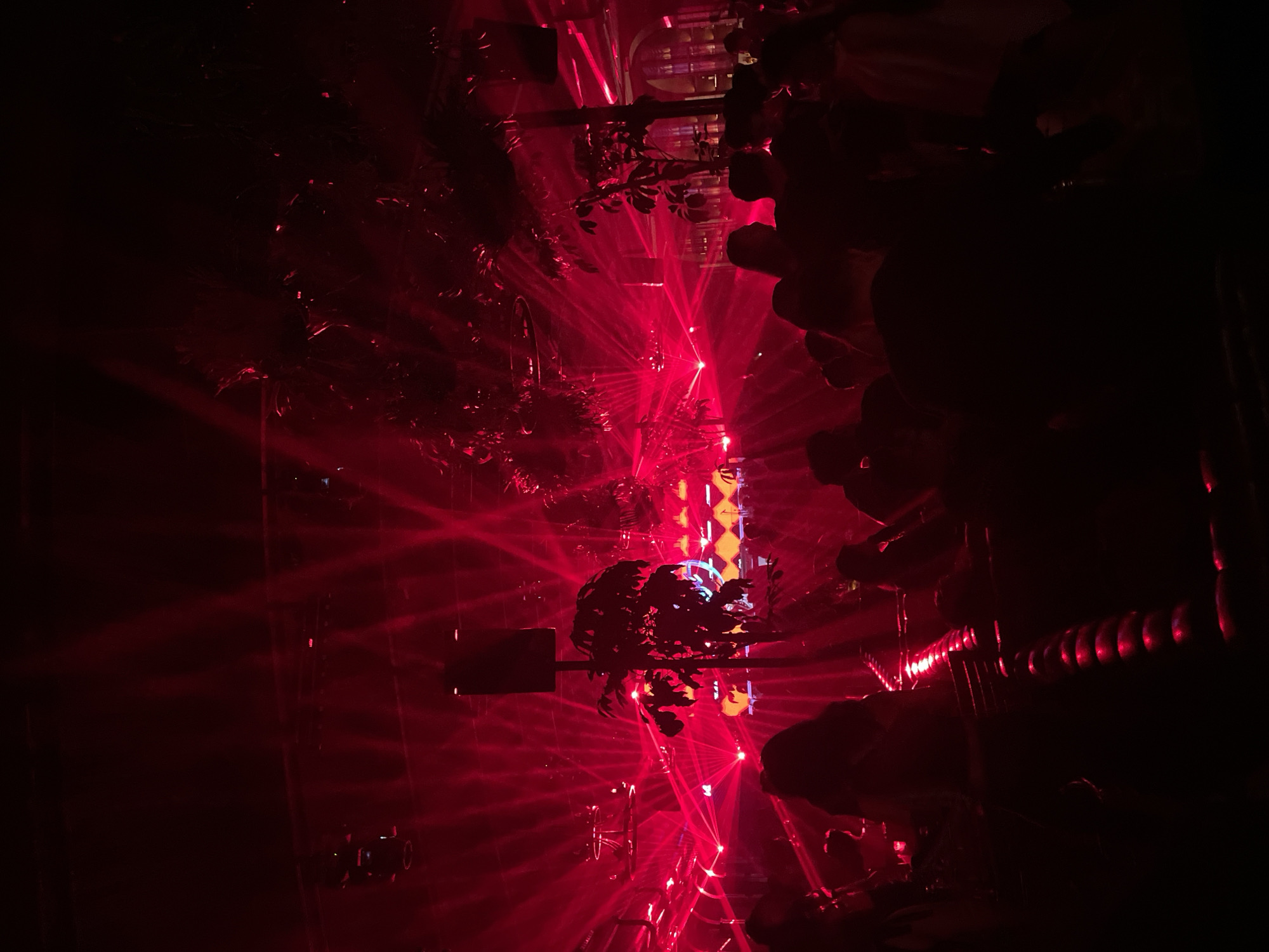 The image depicts a dimly lit nightclub or event space in North Jakarta, Indonesia, filled with people. The primary lighting is a vibrant red, emanating from numerous stage lights and lasers that create sharp beams crisscrossing the space. The atmosphere is energetic, with patrons silhouetted against the intense red light. In the background, a DJ booth or stage area is visible, adorned with equipment and more lighting. Plants, possibly decorative, are integrated into the scene, adding a touch of nature to the artificial environment. The overall impression is of a lively nighttime gathering, characterized by pulsating lights and a crowd enjoying the ambiance.