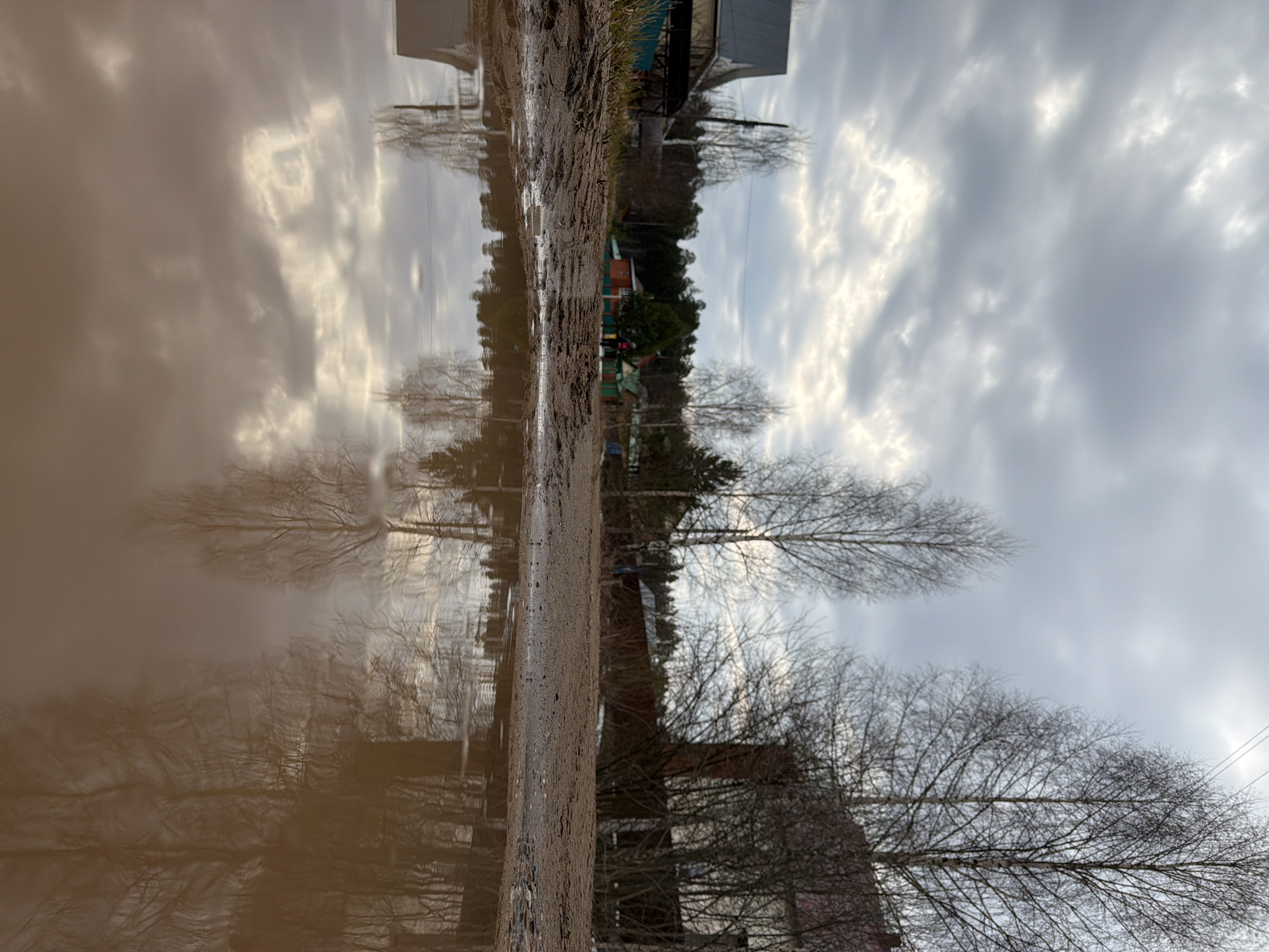 The image depicts a rural or semi-rural scene, possibly located in the city of Chaikovsky, Russia. A dirt road or path runs vertically through the center of the frame. To the left of the road is a muddy puddle reflecting the sky and the surrounding landscape. The reflection shows cloudy skies, potentially with some sunlight filtering through. The right side of the road displays bare trees and some buildings. The architecture appears to be simple, possibly indicative of a countryside or suburban setting. The overall mood is somber, reflecting the overcast sky and the muddy conditions. There is no visible population activity or details of interest to people or interaction.