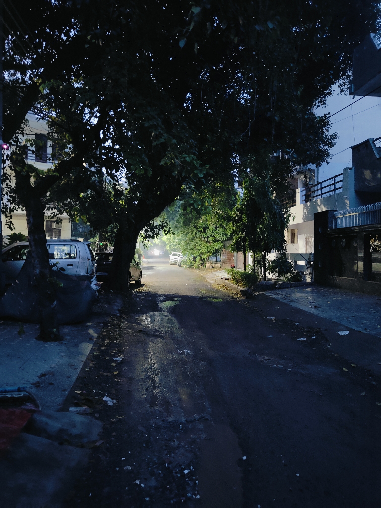 The image depicts a street scene at dusk or night in Gurgaon, India. The street is paved with asphalt and appears wet, with puddles reflecting the faint light. Deciduous trees with dark foliage line the street, casting shadows and creating a dense canopy overhead. In the foreground, two cars are parked on the side of the road, one a silver hatchback and another a dark sedan. The silver car is partially covered with a dark tarp. Buildings with multiple stories and balconies are visible on either side of the street, some with lit windows. A few other cars are visible further down the street, their headlights casting beams into the dimness. The sky is a pale blue, suggesting either pre-dawn or post-sunset twilight. The overall atmosphere is quiet and somewhat subdued, with an urban residential feel.