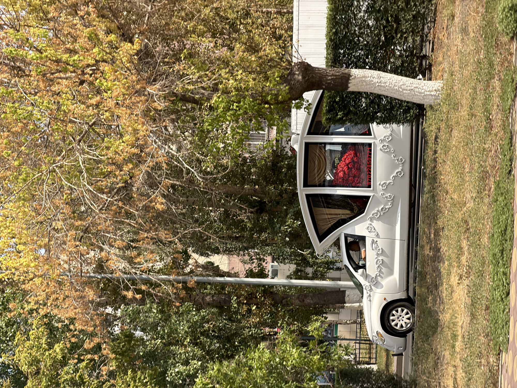 A white hearse is driving on a street in Pavlodar, Kazakhstan. The hearse is decorated with ornate white scrollwork along its side. In the rear window of the hearse, a large arrangement of red flowers is visible. The hearse is surrounded by trees, some of which have yellowing leaves, suggesting an autumn setting. The street appears to be lined with buildings and a hedge. A person is visible driving the hearse. The foreground shows a grassy area with dry patches and a patterned walkway.