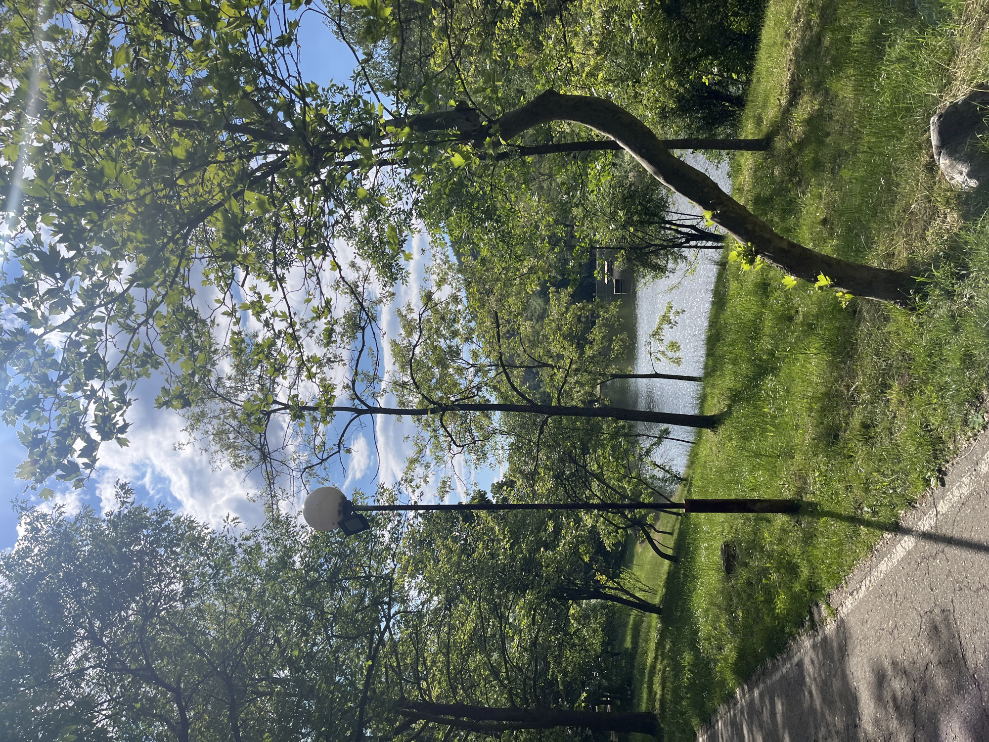 The image depicts a park in Blagoevgrad, Bulgaria. A paved pathway runs along the right side of the frame. To the left, trees with green leaves reach into the sky, partially obscuring a blue sky with white clouds. Sunlight filters through the leaves, creating patches of light and shadow. A light post with a round bulb stands among the trees. In the background, a body of water is visible, with more trees lining its banks. A small structure sits on the water's edge in the distance. The grassy area between the path and the water is lush and green.