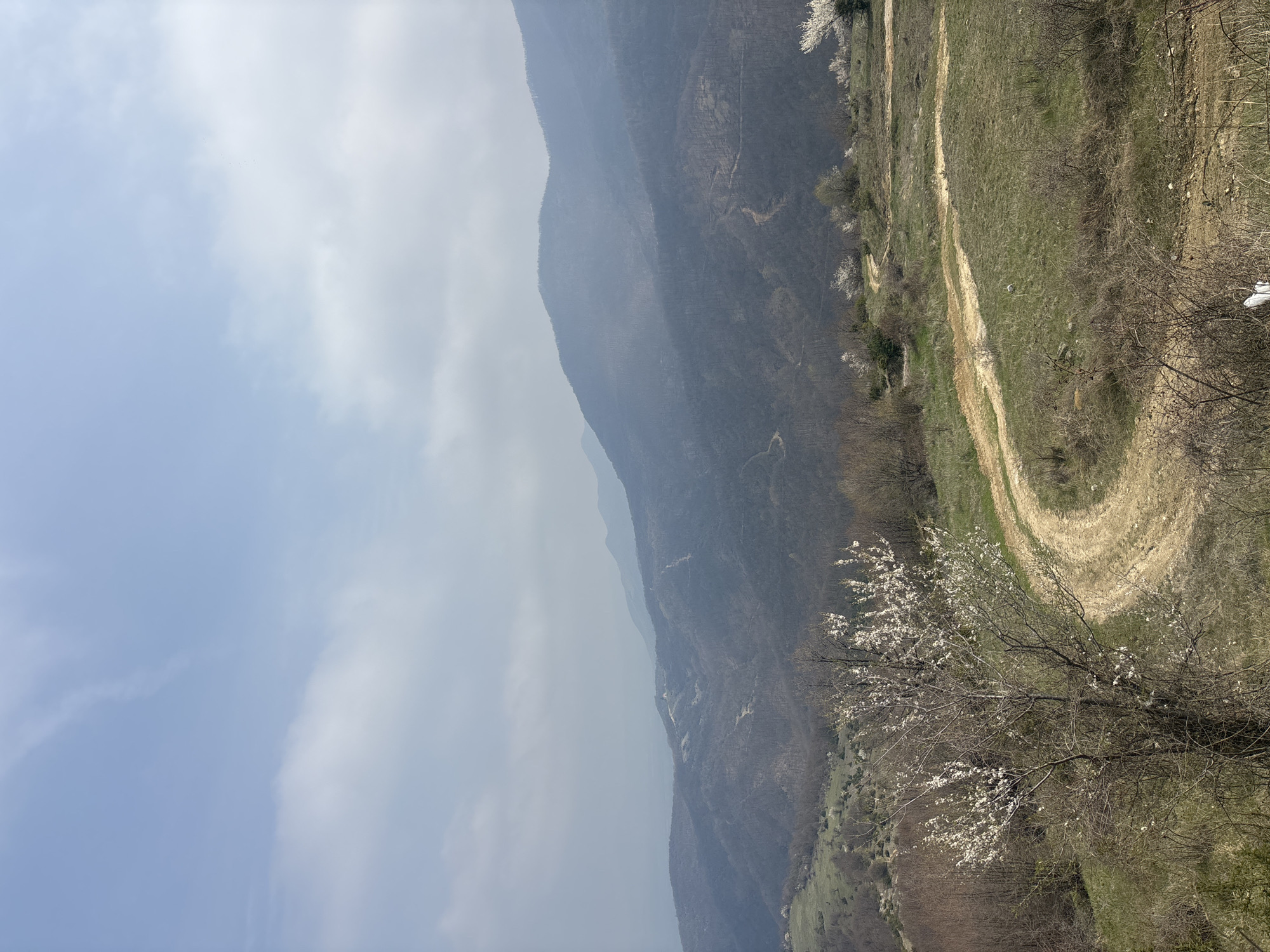 The image depicts a landscape scene in Oreshets, Bulgaria. The right side features a hillside with a dirt road winding through the grassy terrain. Bare trees and flowering bushes dot the slope. In the background, a mountain range is partially obscured by haze. The sky occupies the left portion of the image, showcasing a cloudy, overcast day.