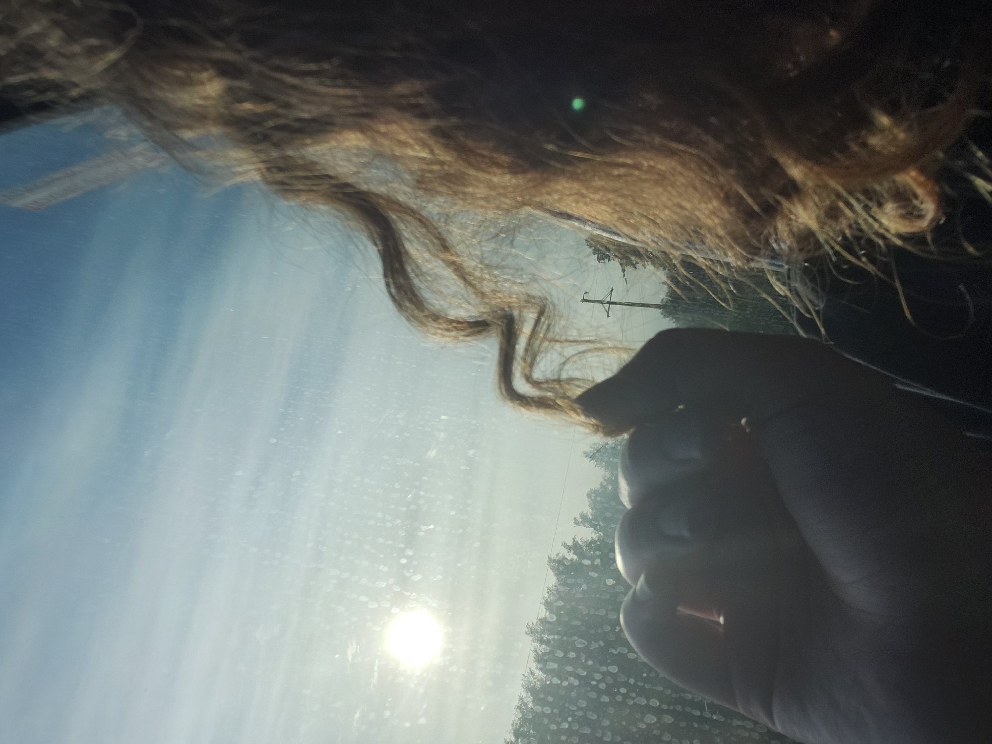 The image shows a view through a car windshield. The sun is visible in the lower left corner, with condensation or water droplets obscuring the glass. A hand is holding a strand of curly brown hair. Beyond the windshield, trees and a utility pole are visible. The location is unknown.