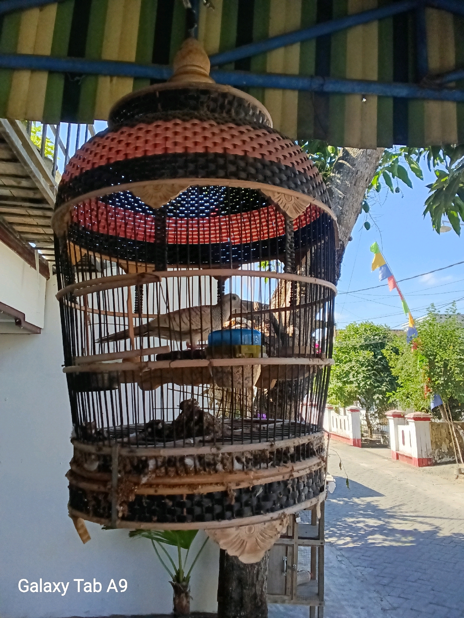 A birdcage hangs from a tree branch in front of a house in Kelutan, Indonesia. The birdcage is made of woven material and bamboo, with red, black, and tan colors. Inside the cage, there are two birds, one of which is perched on a wooden bar and appears to be a dove. The background shows a street with houses, trees, and a clear blue sky. A small string of colorful flags hangs from a pole to the right of the birdcage. The image is taken from a low angle, with the birdcage dominating the foreground. The text "Galaxy Tab A9" is visible in the bottom left corner.