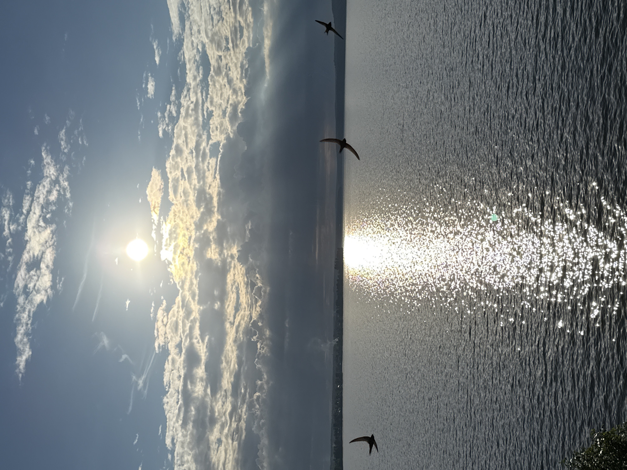 The image depicts a serene natural landscape, likely a body of water such as a lake or river, against a backdrop of a cloudy sky. The sun is visible, partially obscured by clouds, casting a shimmering reflection on the water's surface. Several birds are in flight over the water, adding a dynamic element to the scene. In the distance, a faint line of trees or a shoreline is visible, with some indistinct structures suggesting a settlement. The overall impression is one of tranquility and natural beauty. While the image itself doesn't explicitly indicate the location within Votkinsk, Russia, it is representative of the natural scenery that can be found in the region.