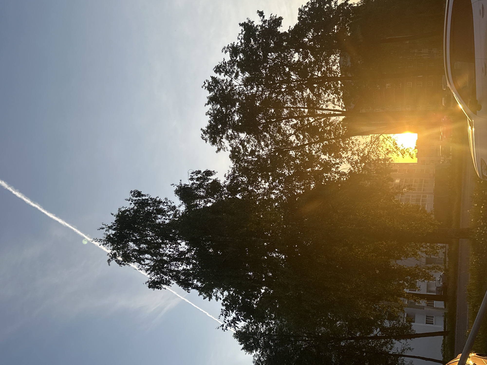 The image captures a view in Chaikovsky, Russia. The scene appears to be outdoors during sunset or sunrise, as indicated by the warm, golden light. A cluster of trees dominates the foreground, partially obscuring a multi-story building in the background. A white vehicle is partially visible on the right side of the image. A contrail stretches across the clear blue sky in the background, adding to the scene's dynamic composition.