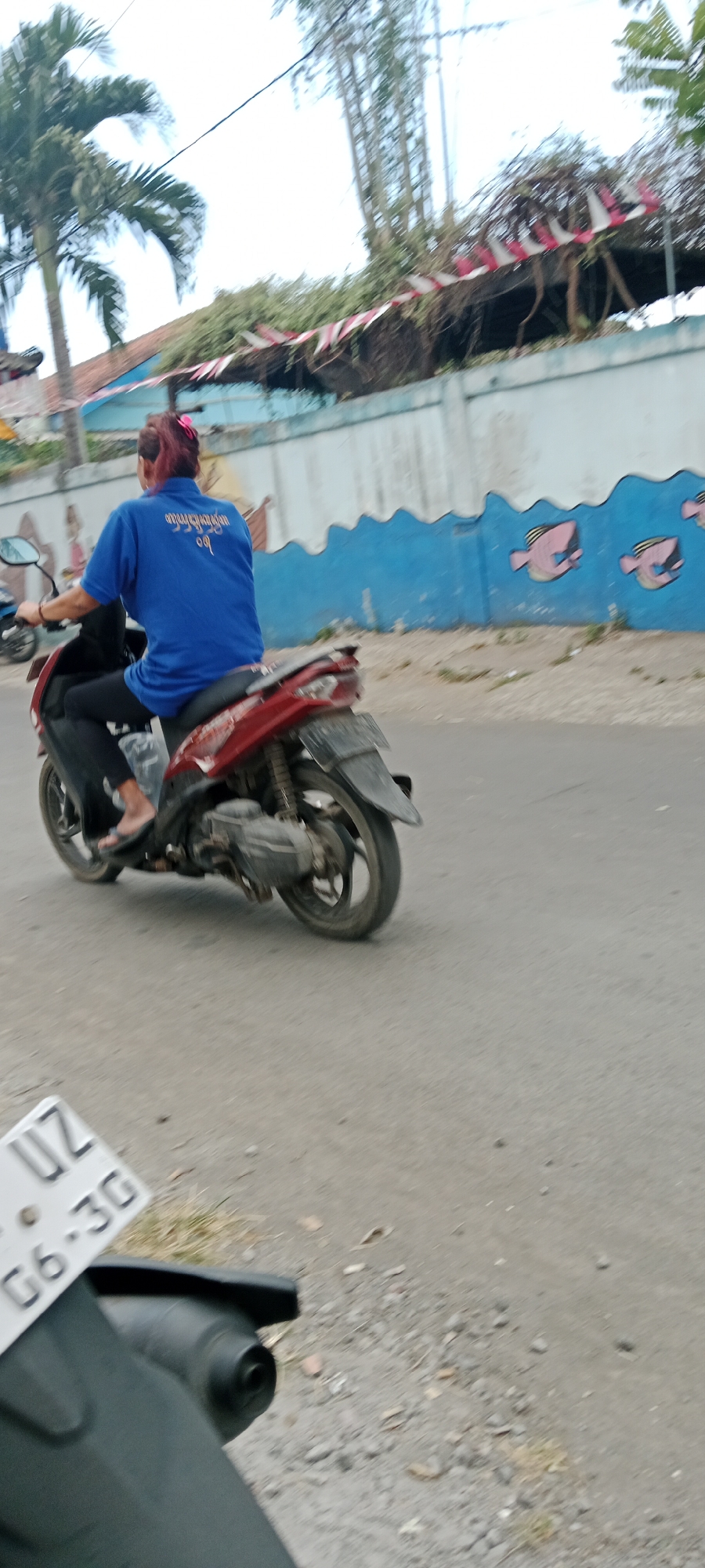 A person is riding a red scooter down a paved road in Purwomartani, Indonesia. The person has reddish-pink hair tied up and is wearing a blue short-sleeved shirt and dark pants. They are looking forward, and their feet are resting on the scooter's footrests. The scooter has a black fender and a license plate with the characters "UZ G6-30" on it. In the background, there is a blue wall with a wavy pattern and drawings of pink fish. A white fence runs along the top of the wall, with red and white banners draped over it. Palm trees and other foliage are visible behind the fence, and the sky is bright and overcast. The road surface is asphalt, with some gravel and dry vegetation scattered on it. The image is taken from a slightly elevated perspective, looking down at the scene.