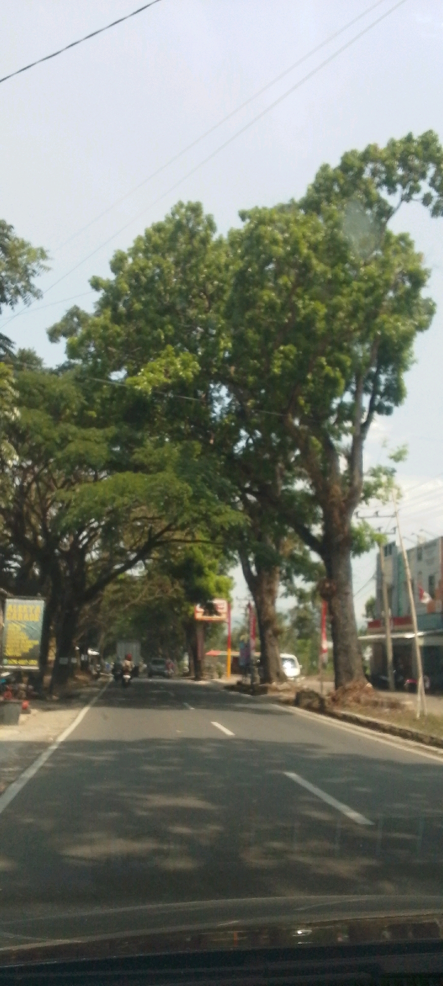 The image depicts a road in Susukan, Indonesia, bordered by large, mature trees that form a canopy over the asphalt. The road appears to be a two-lane street with a white dashed line marking the center and a solid white line along the right edge. Sunlight filters through the leaves of the trees, casting dappled shadows on the road surface.
On the left side of the road, a yellow billboard with text is visible, and further down, there are some buildings and parked motorcycles. A few vehicles, including motorcycles and cars, are seen traveling on the road in the distance, suggesting moderate traffic.
On the right side of the road, there are more buildings, a utility pole with wires, and some vegetation. The overall impression is a well-trafficked road in a semi-urban or suburban area with significant tree cover. The sky is clear and bright, indicating a sunny day. The vantage point suggests the photo was taken from inside a vehicle, looking forward.