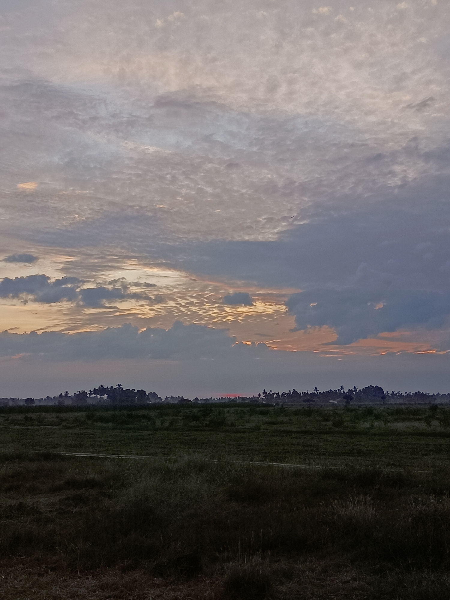 The image captures a wide shot of a rural landscape at dusk in Meunasah Pupu, Indonesia. The sky is filled with a variety of clouds, ranging from light grey and white to darker, more ominous shades of blue. Streaks of orange and yellow light from the setting sun are visible through breaks in the clouds, illuminating parts of the sky. In the distance, a dark, silhouetted treeline with palm trees marks the horizon. Below the treeline, a flat expanse of dark green fields stretches across the middle ground. The foreground is dominated by a darker, textured area of dry grass and vegetation, suggesting a field or uncultivated land. No people or animals are visible in the scene. The overall atmosphere is serene and tranquil, indicative of the end of the day.