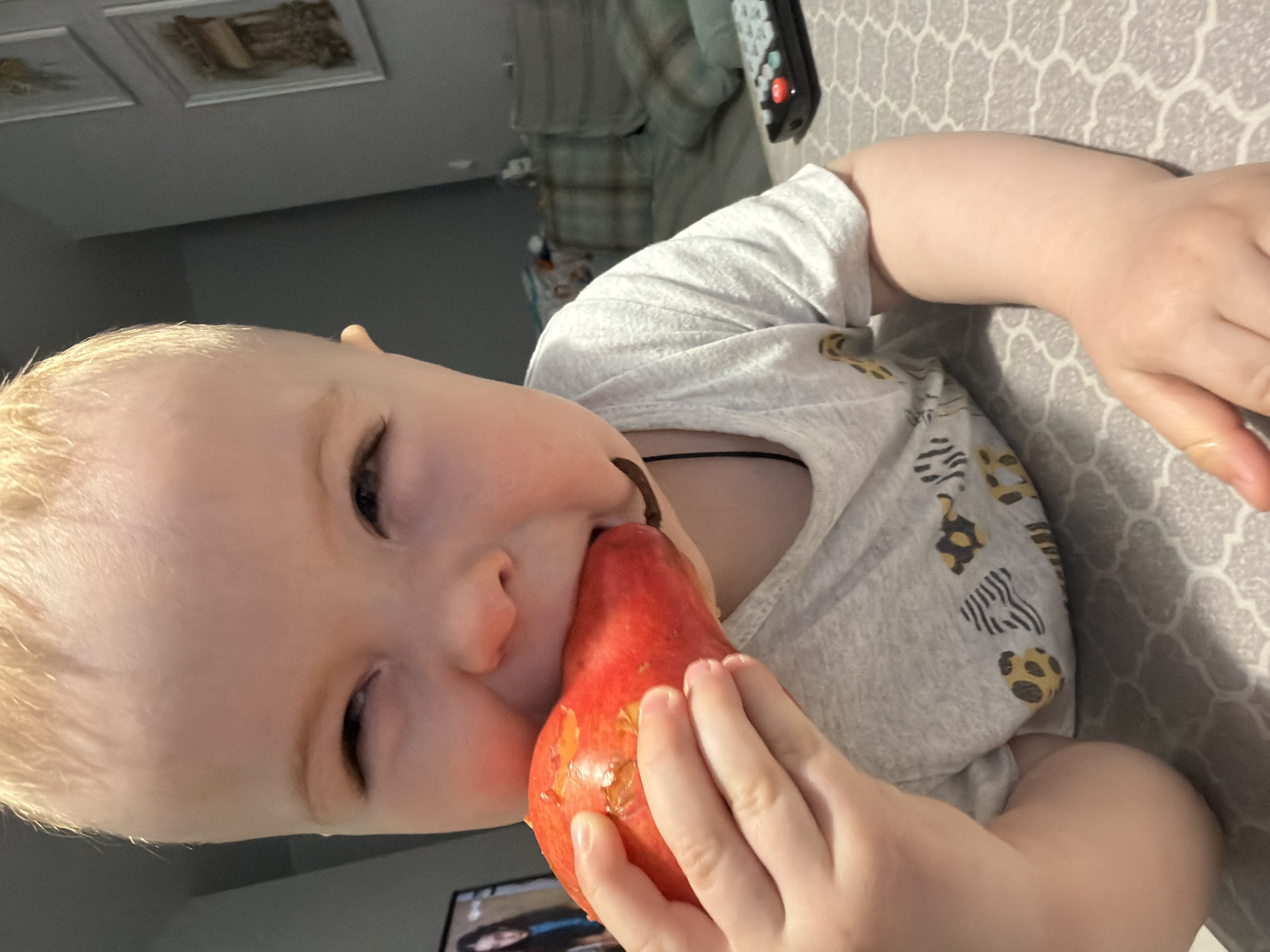 A young child with blond hair is biting into a red pear. The child is wearing a gray t-shirt with animal prints. The background includes a patterned surface and a glimpse of a television. The image does not provide any details that would indicate the location of Votkinsk, Russia.