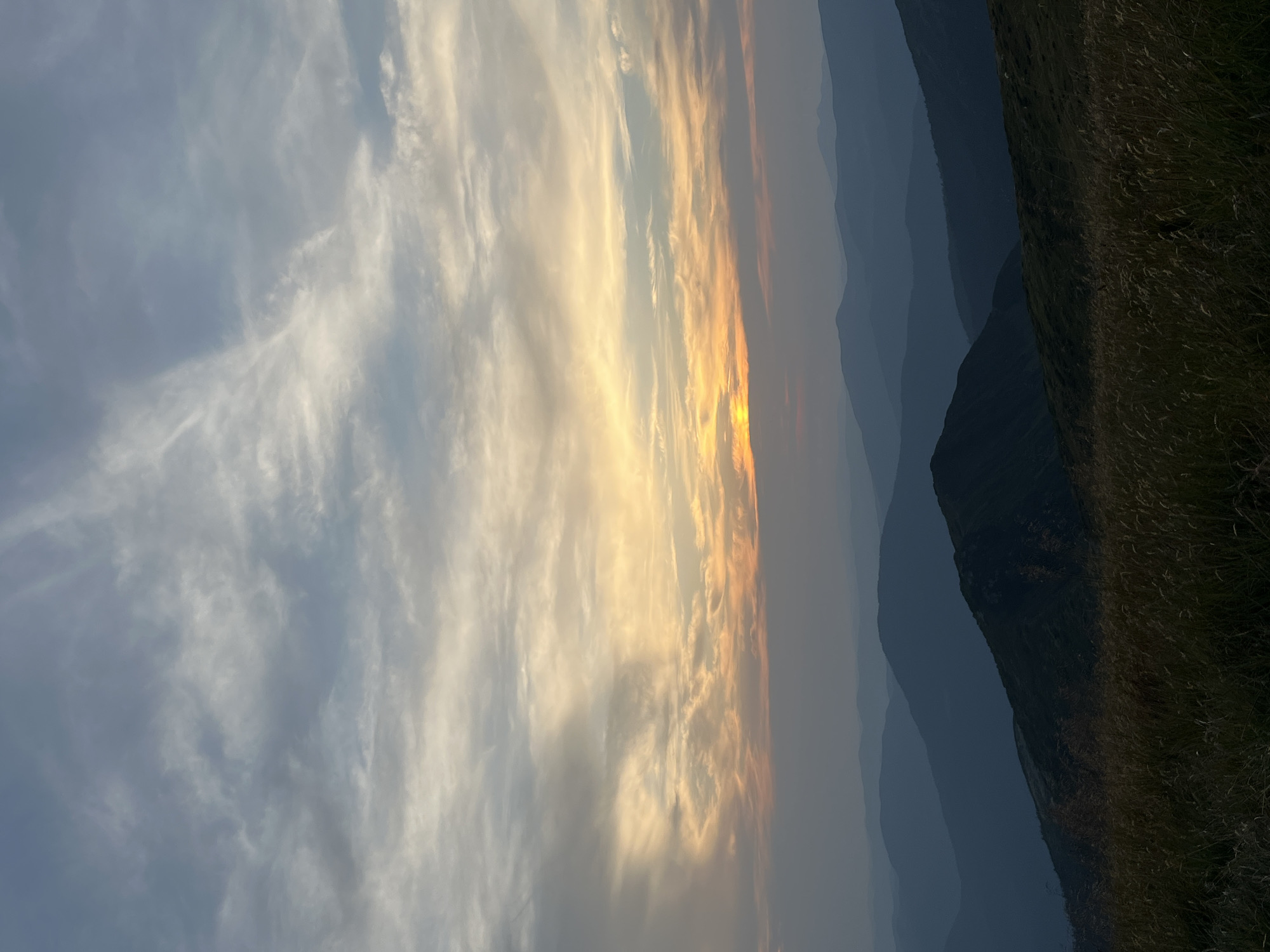 This image depicts a serene mountain landscape at sunset, likely near Mount Hoverla, Ukraine. The sky is a canvas of soft hues, with streaks of white and gray clouds mingling with the warm oranges and yellows of the setting sun. These colors are most intense along the horizon, where the sun itself is a small, bright orb peeking through the clouds.
Below the sky, a series of layered mountain ranges fade into the distance, their shapes rendered in deepening shades of blue and gray. The foreground is dominated by a grassy slope covered in dry, golden-hued grass, suggesting an autumn or late summer setting. The grass is textured and catches the last light of the day, creating a dappled effect. The overall impression is one of tranquility and natural beauty, with no human presence or activity visible in the scene. The image appears to be taken from an elevated vantage point, looking out over the vast expanse of the mountains.
