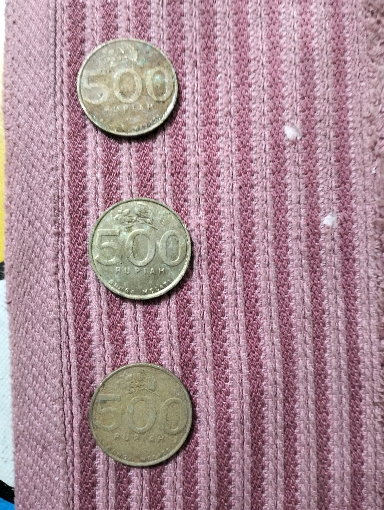 The image displays three coins, each featuring the number "500" prominently. The coins are laid out vertically on a textured surface with alternating stripes of pink and purple. The surface appears to be fabric, possibly a rug or textile. The coins themselves show signs of wear and age, with some discoloration and visible inscriptions. The context of Tarai Bangun, Indonesia, is not visually represented in the image.