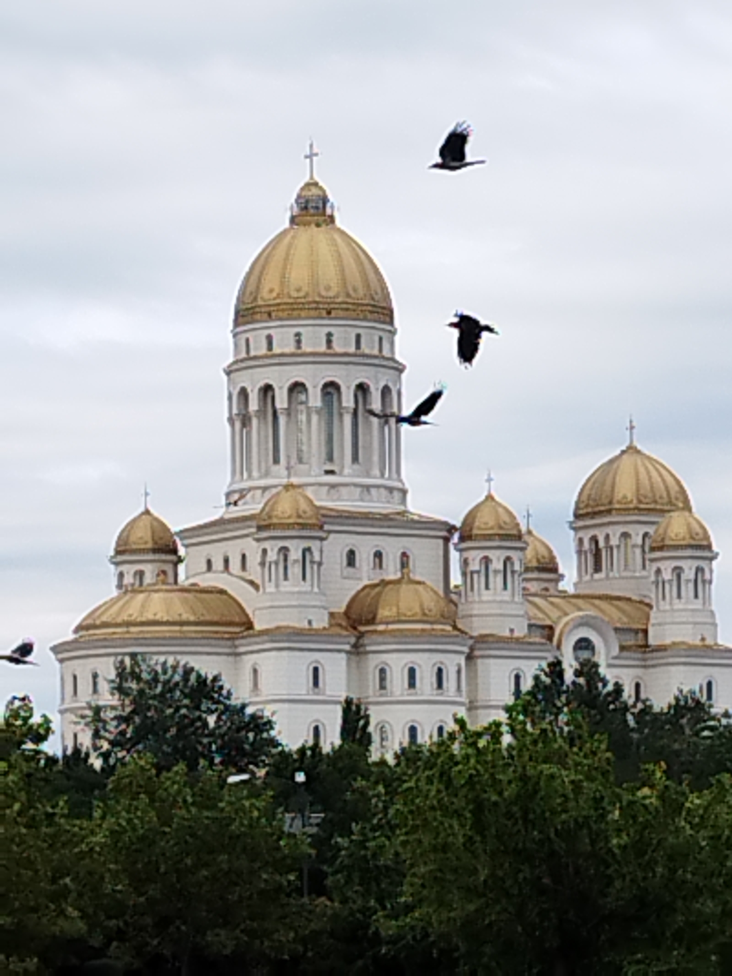 The image shows the People's Salvation Cathedral, a large Eastern Orthodox cathedral located in Bucharest, Romania. The cathedral features multiple golden domes, white walls, and classical architectural elements. In the foreground, lush green trees obscure the lower portion of the building. Several dark birds are captured in mid-flight against a cloudy, overcast sky. The overall scene conveys a sense of grandeur and natural elements interacting with the man-made structure.