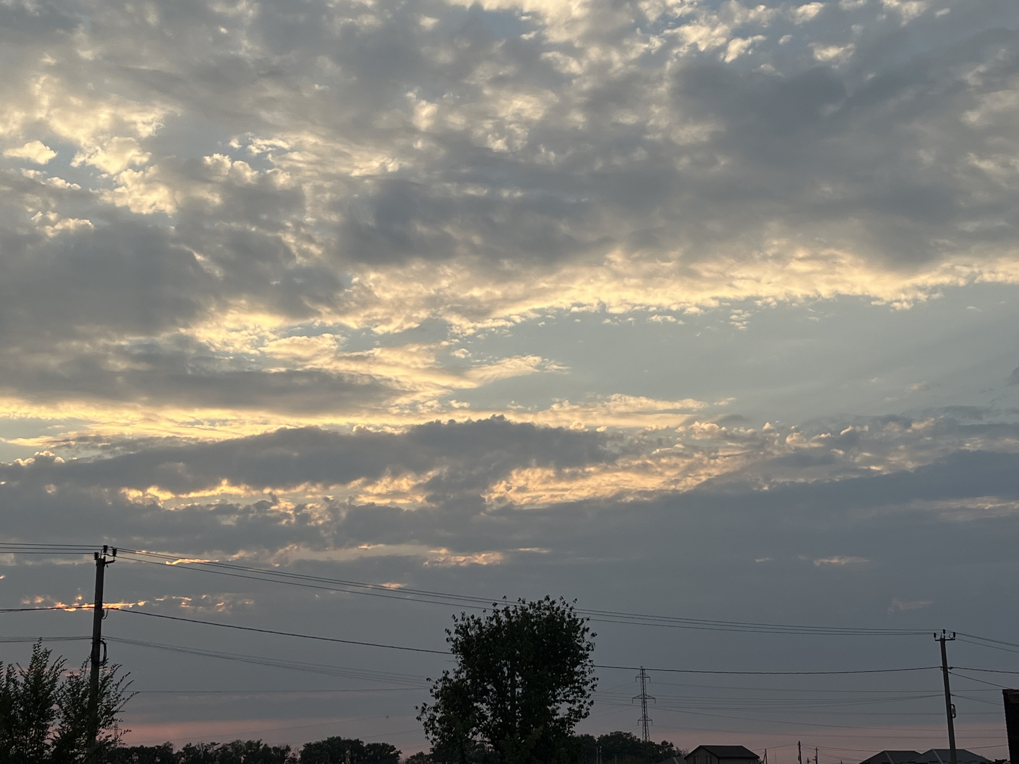 The image captures a cloudy sky at dawn or dusk over Taganrog City District, Russia. The sky is filled with layers of gray and white clouds, illuminated by the soft, warm light of the setting or rising sun, creating streaks of golden and yellow hues.
In the foreground, silhouetted against the sky, are utility poles with power lines stretching across the frame. Trees are visible at the bottom left and center of the image, their dark foliage contrasting with the lighter sky. Several buildings and structures, including what appear to be houses and possibly a communication tower, are partially visible on the horizon line. The overall impression is a rural or suburban landscape during twilight.