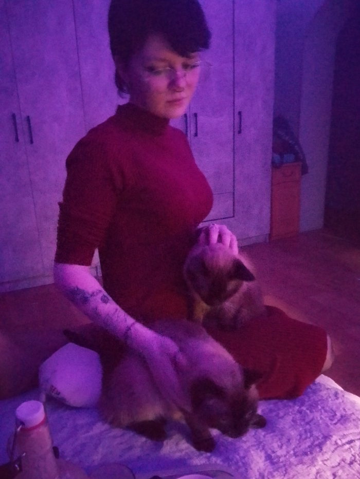 The image displays an indoor domestic setting in Saratov, Russia, bathed in strong, artificial purple light. A female individual, appearing to be in her 20s to 30s, is positioned in a seated or kneeling posture, facing slightly downwards and to the right of the frame. She has short, dark hair and wears glasses. Her attire consists of a dark red, long-sleeved turtleneck top. Visible tattoos are present on her left forearm.
Two Siamese-type cats are present. One cat is resting on the female's upper leg/lap, being petted by her right hand. The second cat is situated on the light-colored, textured blanket or rug directly in front of her. Both cats are looking downwards.
In the immediate foreground, to the left, a clear bottle with a white cap and red markings is visible, along with a white pillow. The background features light-colored, multi-panel cabinets with dark handles, suggesting wardrobes or storage units. To the right, a reddish-brown chest of drawers or a small cabinet is partially visible. The floor beneath the textured surface appears to be a reddish-brown color.
