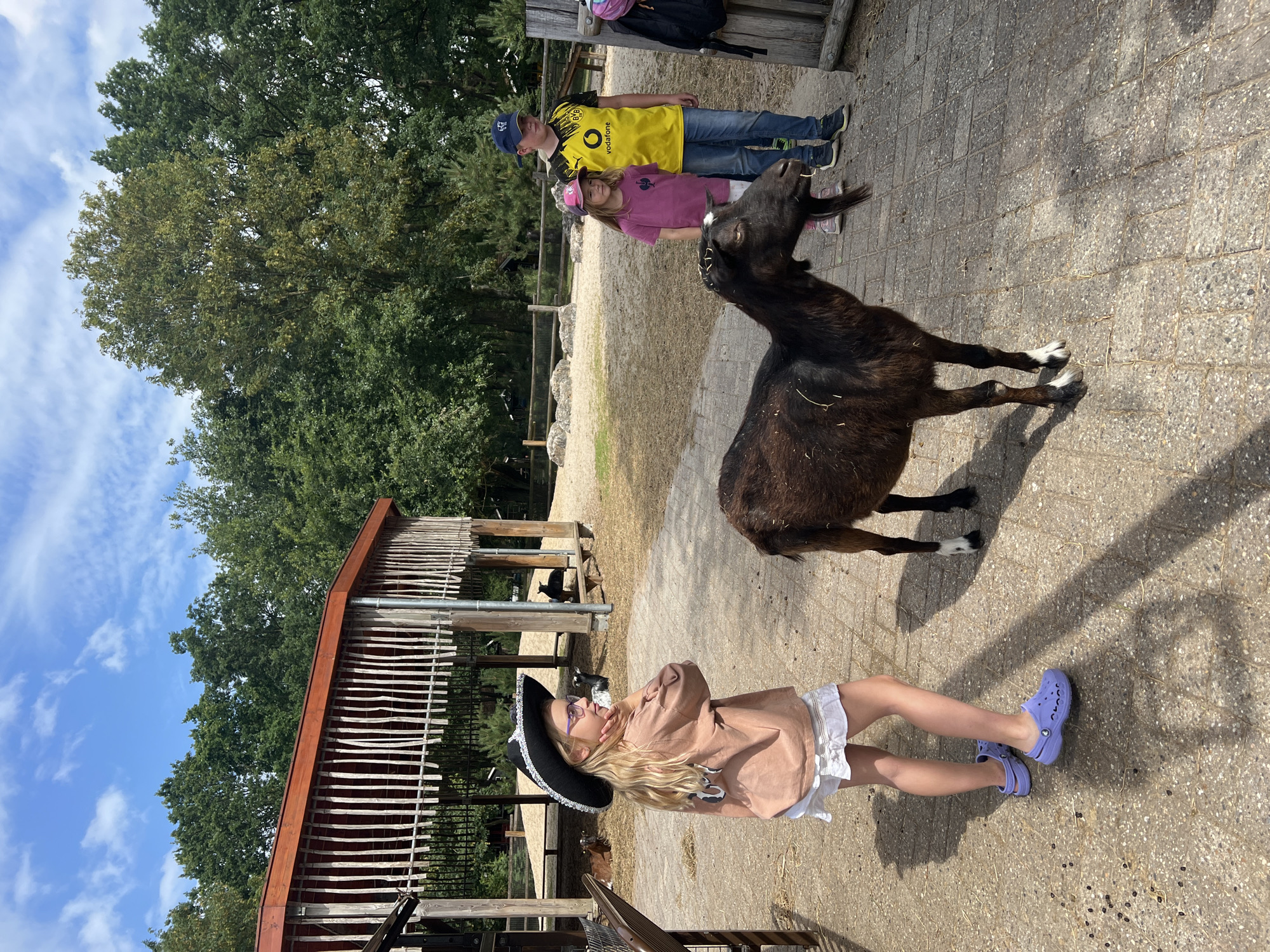 In the city of Collendoorn, Netherlands, a group of children are interacting with goats at an outdoor enclosure. A young girl in a cowboy hat and a light brown shirt stands in the foreground, facing to her left. She is wearing white shorts and purple Crocs. A dark brown goat is positioned in front of her, facing to the left. In the background, two other children stand near the fence. One is a boy in a yellow and black Borussia Dortmund soccer jersey and blue jeans, wearing a blue baseball cap. Next to him is a younger girl in a pink shirt and a pink baseball cap. Several other goats are visible in the enclosure, some lying down and others standing. The enclosure features a sandy ground and a wooden structure with a red roof in the background. Trees form a backdrop behind the enclosure.