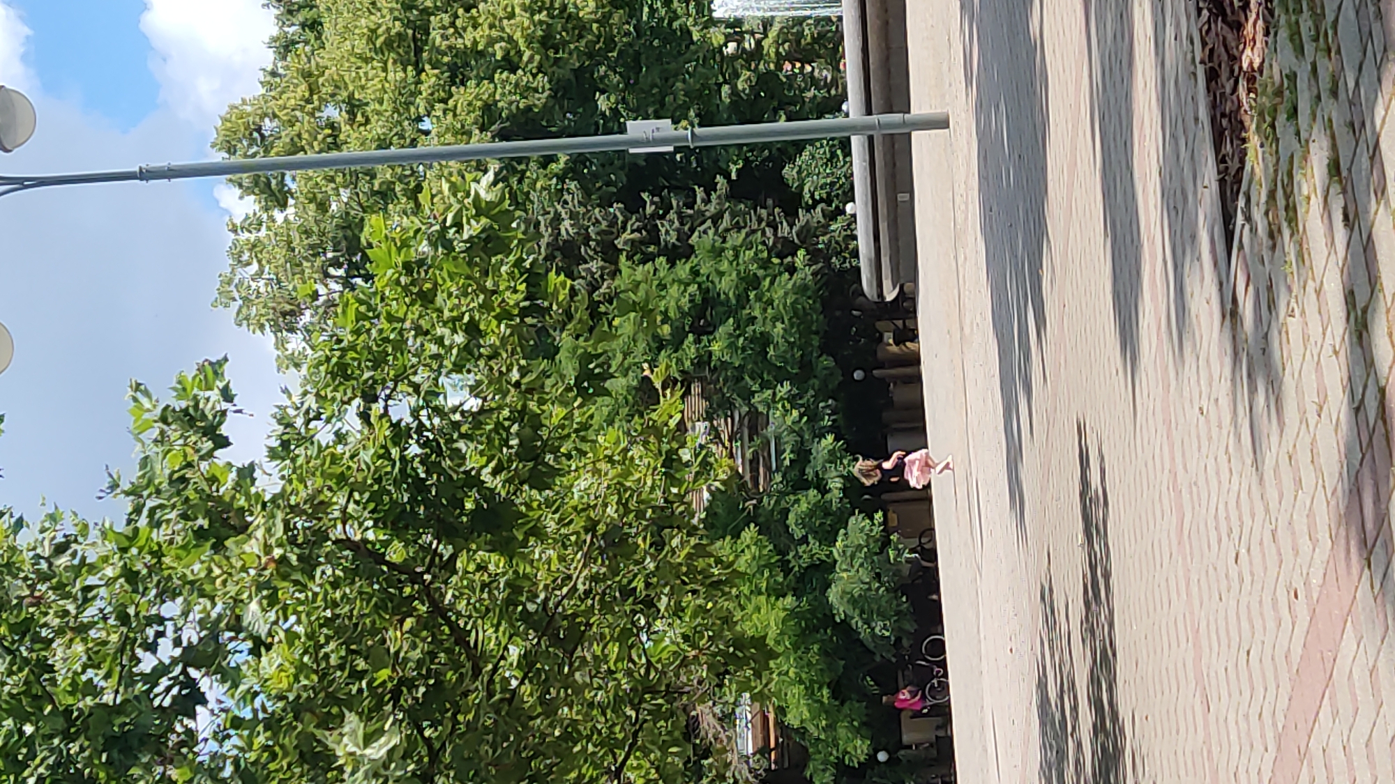 The image depicts a view of a paved public space with trees and a lamppost. In the mid-ground, a young child in a pink tutu and dark top is captured mid-leap or dance. To the left, a person in a pink shirt is seated in a wheelchair next to a bicycle. In the background, there are more trees, a fountain, and possibly a building. The lighting suggests it is daytime. The location is identified as Krasnodar, Russia.
