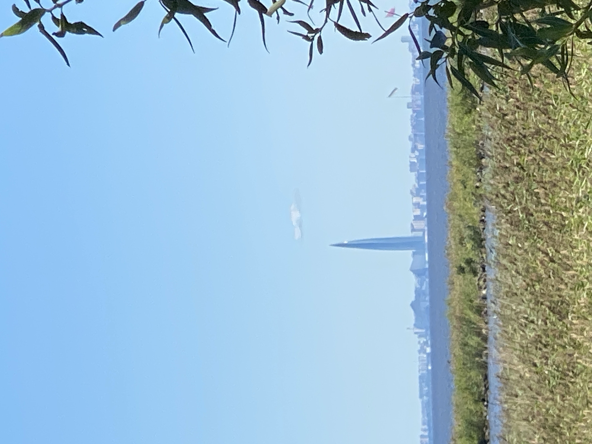 The image captures a panoramic view of the Gulf of Finland from Peterhof, Russia. In the foreground, dense reeds and tall grasses line a body of water, with some greenery visible in the mid-ground. A distant city skyline stretches across the horizon, dominated by the prominent Lakhta Center skyscraper, identifiable by its distinctive tapered form. The sky is clear and blue, with a few wispy clouds. The foliage of trees in the foreground partially obscures the view on the right side of the frame. The scene suggests a natural, serene environment contrasting with the urban development in the distance.