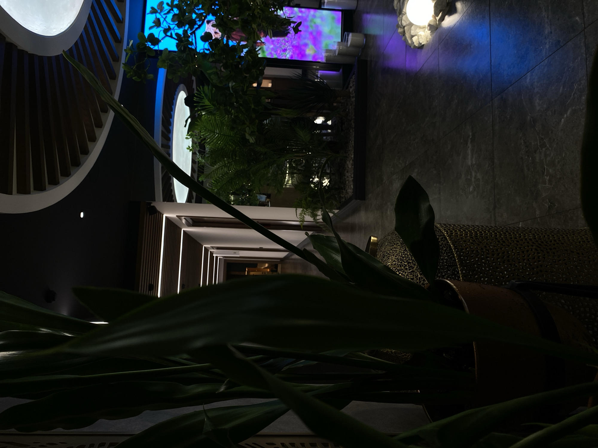 The image shows an interior space with a modern, dimly lit design. In the foreground, there are large, dark green plant leaves, partially obscuring the view. Behind the plants is a decorative object with a filigree pattern. In the middle ground, there is a display of lush greenery, including various types of plants and shrubs, placed in a planter bed. Behind the planter bed, a large screen displays colorful, abstract patterns. Further in the background, there is a hallway with linear light fixtures on the walls, creating a sense of depth. To the left of the greenery, there is a circular architectural feature with a repeating pattern of white and dark segments. On the right side of the image, there is a wall-mounted light fixture that emits a soft glow. The overall environment suggests a sophisticated interior, possibly a restaurant or a lounge. The image doesn't contain any identifiable people. The description does not contain information about Votkinsk, Russia.