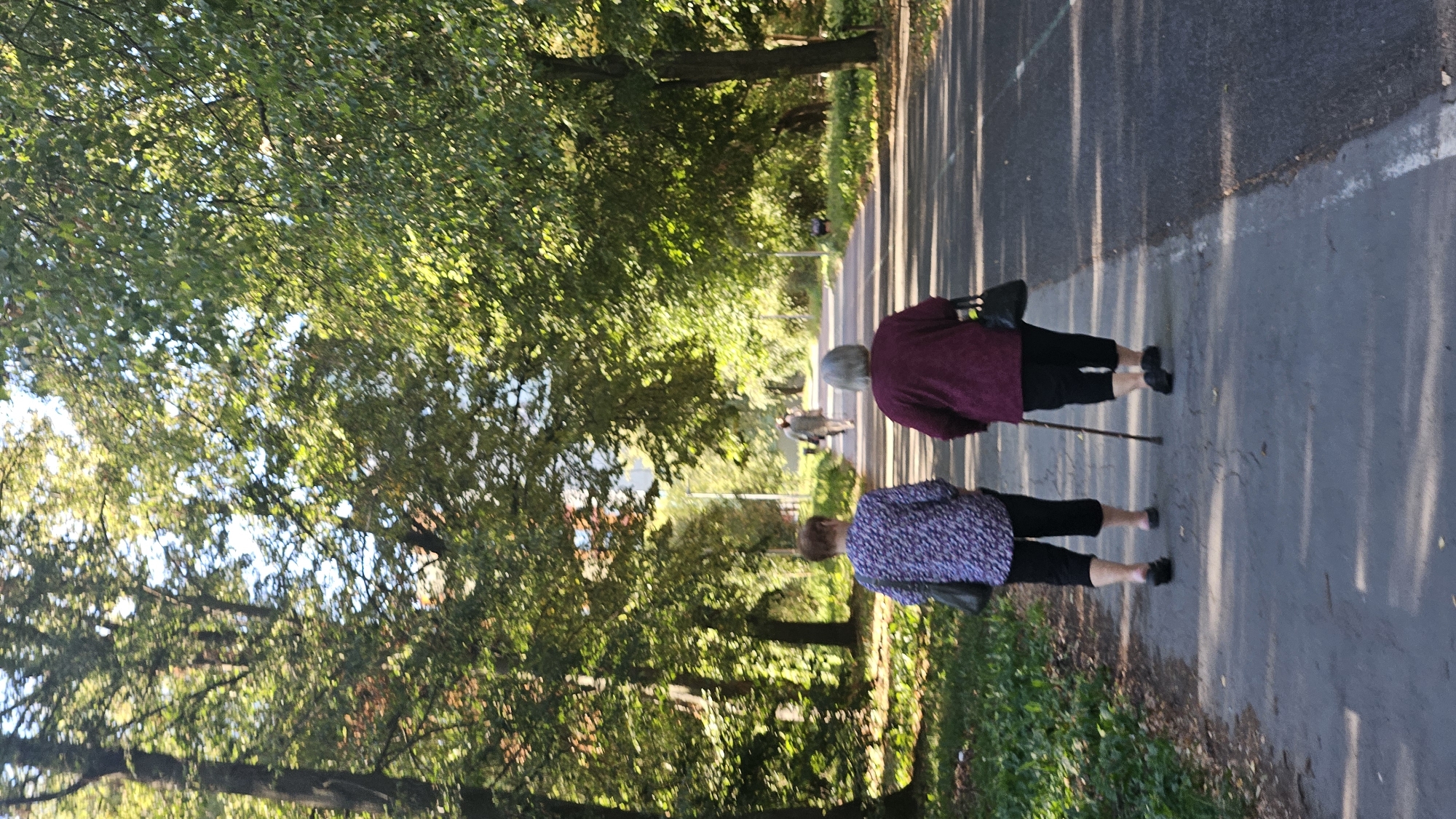 Two elderly women are walking away from the camera down a paved path in a park. The woman on the left is wearing a purple and white patterned shirt and black cropped pants. She is carrying a dark bag over her left shoulder. The woman on the right is wearing a dark maroon shirt and black cropped pants. She is using a walking stick in her right hand and carrying a dark bag over her left shoulder. The path is lined with mature trees on both sides, creating a canopy of green leaves overhead. Sunlight filters through the leaves, casting dappled shadows on the path. In the distance, a man in a light-colored shirt and pants is also walking away from the camera. The overall setting appears to be a well-maintained park, possibly in Prešov, Slovakia, given the context provided.
