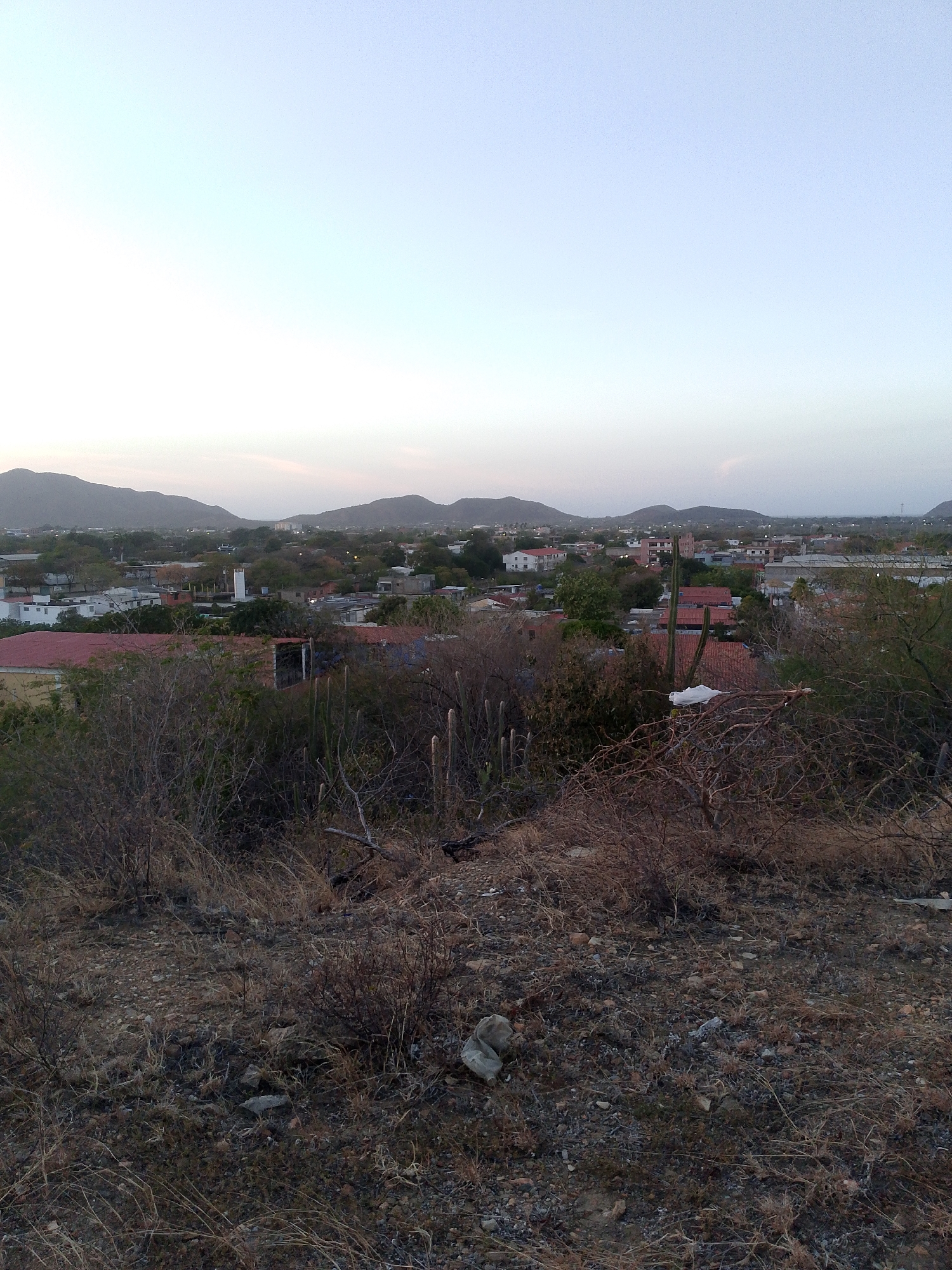 The image depicts a cityscape of Juan Griego, Venezuela, viewed from an elevated, dry, and somewhat barren foreground. This foreground consists of sparse, mostly dry vegetation and rocky ground. In the middle ground, a residential area with a mix of building styles, predominantly with red tile roofs, is visible, interspersed with green trees and occasional cacti. A tall, white tower is noticeable amidst the buildings. In the background, a mountain range is silhouetted against a pale, overcast sky. The lighting suggests either early morning or late afternoon. There is no indication of human activity within the immediate scene.