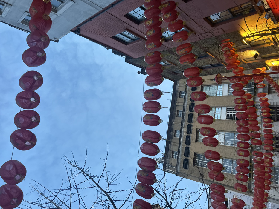 The image captures an upward view of a street adorned with numerous red Chinese lanterns, likely in a Chinatown setting, consistent with the provided London, UK context. The lanterns are strung across the street at varying heights, creating an overhead canopy of festive decorations.
Three main strings of red, cylindrical or oval-shaped lanterns are prominent. One vertical string hangs along the left edge of the frame, another extends horizontally across the mid-ground, and a third, denser array of lanterns curves and extends into the background on the right. Many of the lanterns feature subtle gold or yellow patterns and characters, though none are clearly legible. On some lanterns, a faint red text, possibly "NER" or a partial character, can be seen.
The background features multi-story urban buildings with numerous windows, suggesting commercial or residential structures. The buildings on the upper right are made of reddish-brown brick, while those in the mid-ground are a lighter, possibly beige or grey brick/stone. The sky, visible in the upper left, is a soft blue with scattered light clouds, indicating daytime, possibly overcast or late afternoon. Bare tree branches with fine twigs are visible in the lower left corner and across parts of the lower and mid-ground, suggesting a winter or early spring season. No people or specific activities are visible, focusing instead on the architectural details and the cultural street decorations.