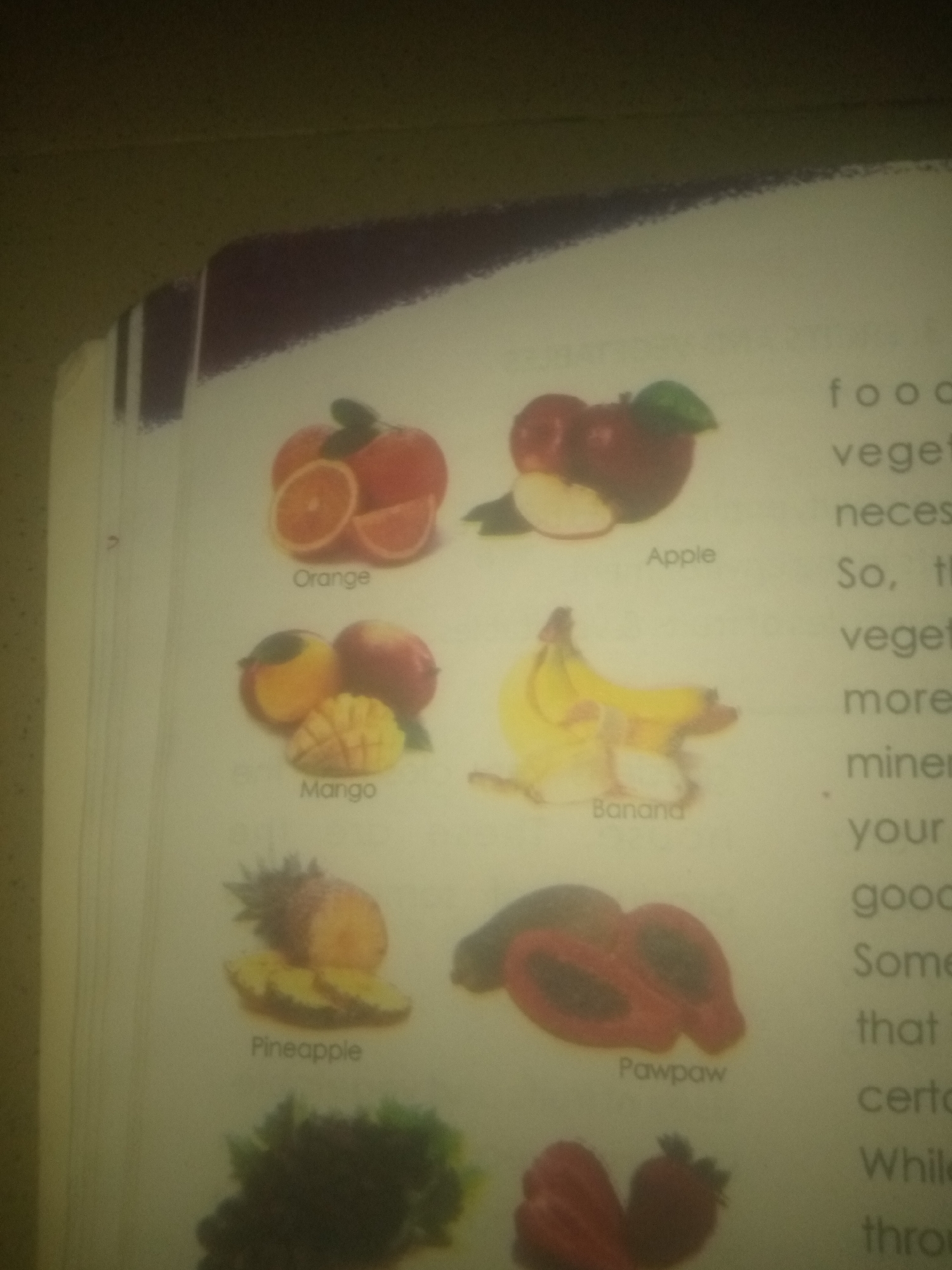 The image is a photograph of a page from a book or magazine, featuring illustrations and text related to fruits. The illustrations show oranges, apples, mangoes, bananas, pineapples, and papayas. Text labels accompany each fruit illustration. To the right of the fruit images, there is a column of text that appears to be educational content, with words like "food," "vegetables," "necessary," and "minerals" visible. The background of the page is white, and the overall lighting suggests an indoor setting. The image does not contain any elements that would indicate a specific location in Jauro Yinu, Nigeria, nor does it depict any people or actions.