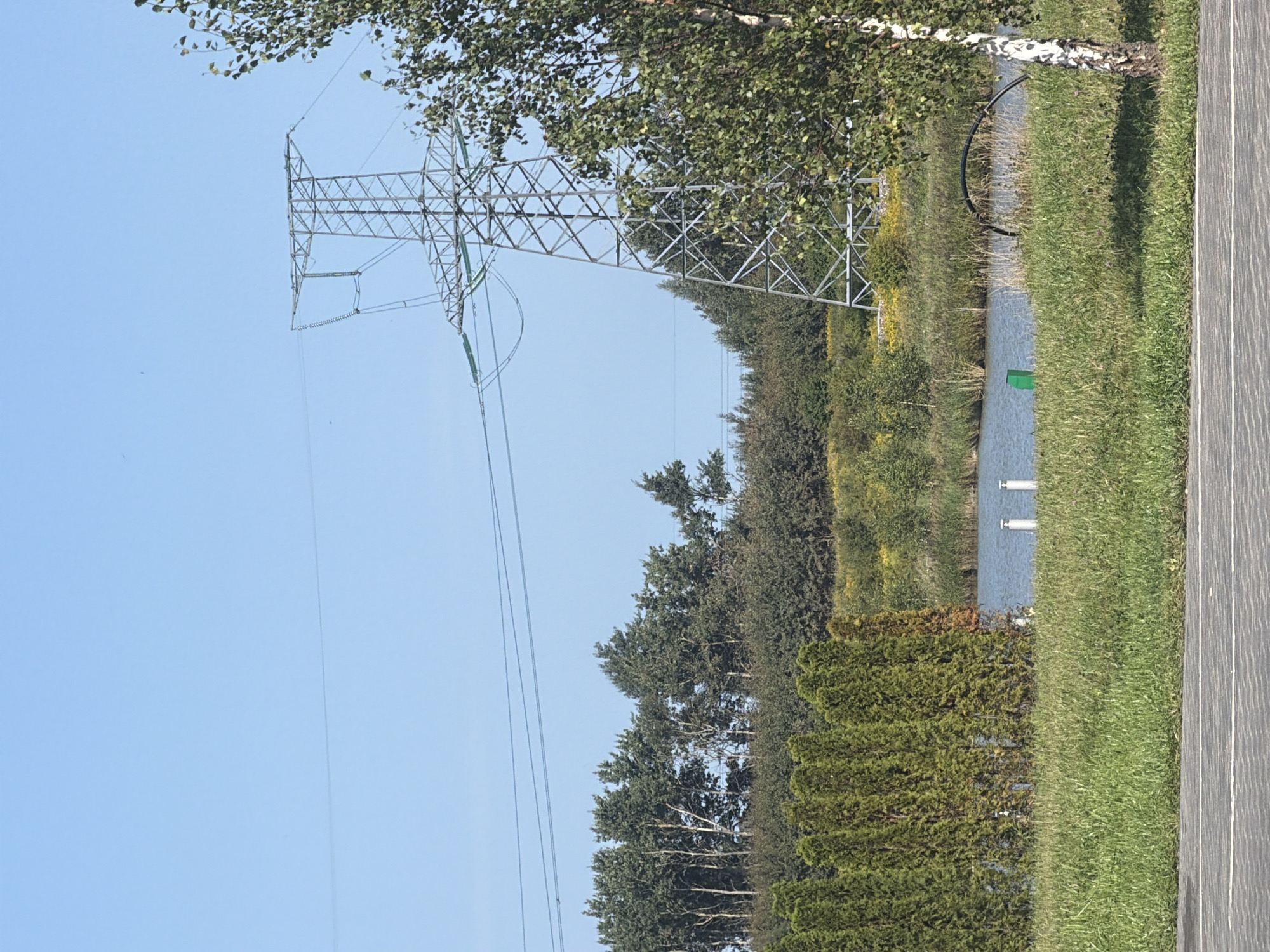 The image shows an outdoor scene with a clear blue sky. In the background, a large metal power line tower stands prominently, with power lines extending horizontally across the frame. A line of trees forms a dense barrier behind the power line tower and to the left. In the foreground, there is a body of water, likely a pond or lake, bordered by green reeds and vegetation. A row of tall, conical evergreen shrubs is visible along the edge of the water. The ground in front of the shrubs is covered in green grass. A paved surface with white lines is in the lower foreground, suggesting a pathway or road. The image appears to be taken during daylight hours on a sunny day. The location is identified as Laskino, Russia. There are no people or animals visible in the image.