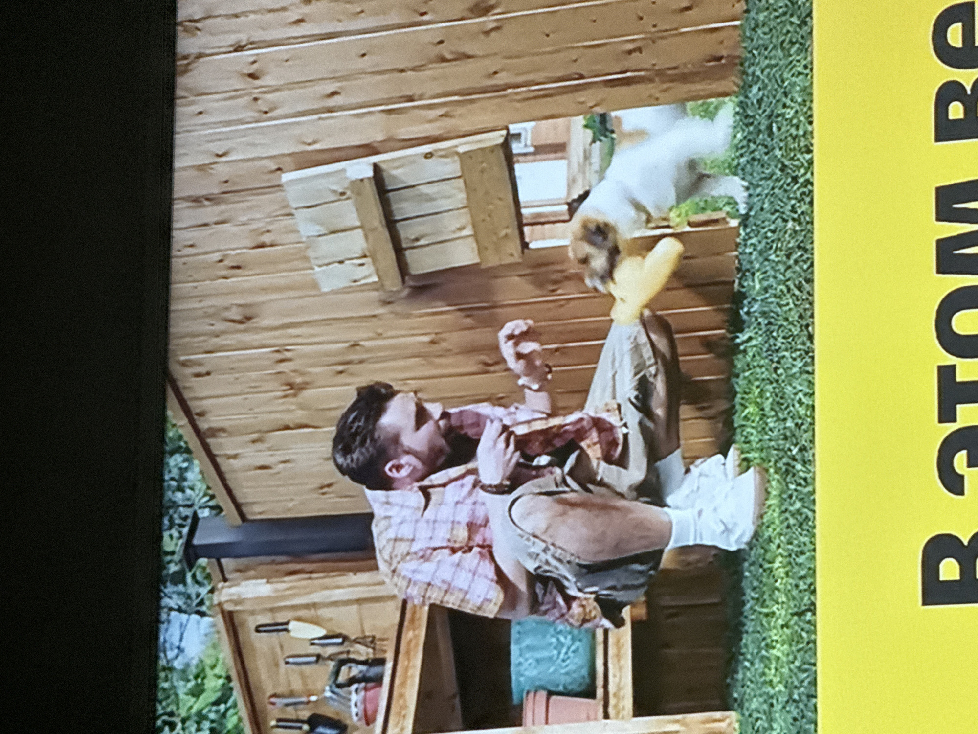 A medium shot of a commercial with a man playing with a dog. The man is sitting in a wooden shed with a dog standing outside it on a patch of green grass. The man is wearing a pink and white plaid shirt, tan shorts, and white sneakers. The dog is white with brown spots and holding a yellow toy. There is text on a yellow background to the right of the image. The location is not discernible from the image.