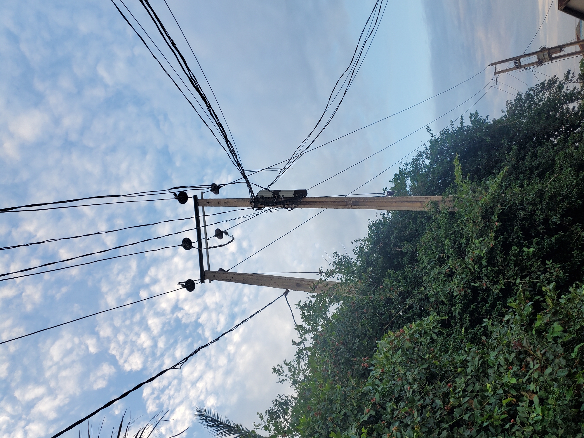 The image depicts an outdoor scene in Kakau, Nigeria, captured from a low-angle perspective looking upwards. The upper half and right side of the frame show a sky with scattered white clouds against a light blue background; clouds on the left are more defined and numerous, while those on the right are sparser and more diffused.
In the midground, two weathered wooden utility poles are prominent. The leftmost pole is partially obscured by dense green foliage, with dark utility wires extending from its top. The central pole features a horizontal cross-arm supporting several black disk insulators, from which numerous black utility wires originate and extend in various directions across the frame, some appearing bundled or tangled. Below the cross-arm, a rectangular electrical component, likely a transformer or junction box, is mounted on the central pole, with multiple wires connected to it. Further to the right in the background, a third utility pole, possibly made of metal or concrete, is visible, supporting a smaller electrical unit and additional wires.
The lower half and left side of the image are dominated by dense, dark green foliage, forming a thick wall of bushes or trees. This vegetation displays numerous small, dark green leaves and small, reddish-brown berries or fruits dispersed throughout. A single palm frond is partially visible extending into the upper left quadrant. No individuals, animals, or specific actions are present within the frame.