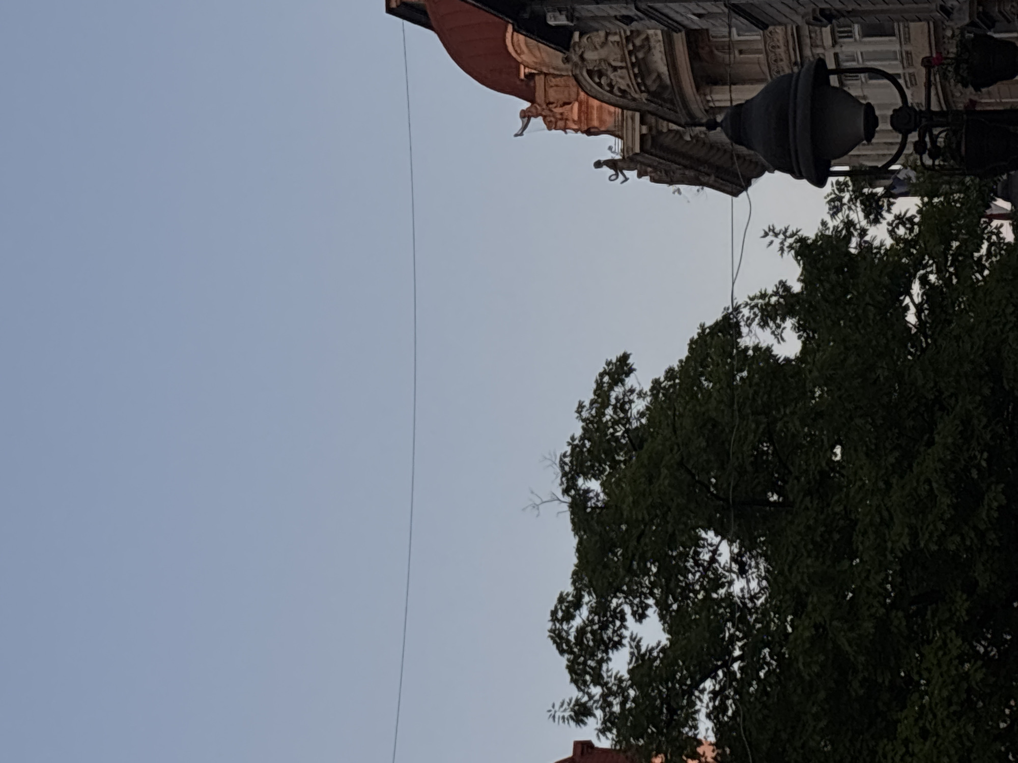 The image, taken in Belgrade, Serbia, is an upward shot featuring a portion of an ornate building, a vintage street lamp, a tree, and the sky. The building has detailed carvings and architectural features, including gargoyle-like figures. The street lamp is black and appears to be of old design. The tree has dense foliage, obscuring the view behind it. The sky is pale blue, suggesting either early morning or late evening. A thin wire is strung across the sky.