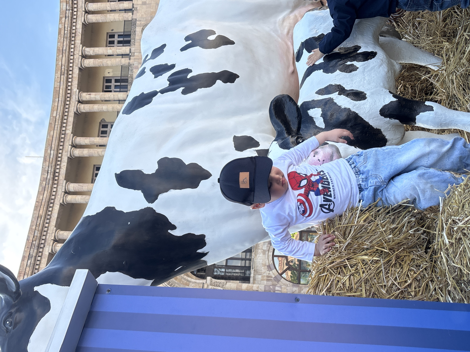 A vertical, eye-level shot captures two children engaging with cow sculptures and hay bales, set against a backdrop of classical architecture under a clear blue sky in Yerevan, Armenia. In the foreground, a young boy lies on a bed of hay. He wears a white long-sleeve t-shirt adorned with "AVENGERS," Spiderman, and Captain America shield graphics, light blue jeans, and a black baseball cap. His face is turned slightly away from the camera, and his right hand rests on the hay.
Behind him and to the left is a large, white and black spotted cow statue. Another smaller, similarly patterned cow statue, possibly a calf, is visible to the right, with a second child's dark-clothed legs and arm interacting with it. Several bales of straw form the ground cover, creating a rustic, farm-like scene.
In the background, a stately, multi-story building constructed of light-colored stone features a series of prominent classical columns and rectangular windows, suggesting grand public architecture. Above the building, a clear blue sky is visible, indicating daytime. A blue and purple striped barrier or structure is present in the lower left of the frame. The overall impression is of an outdoor event or display designed for children, perhaps a festival or exhibition.